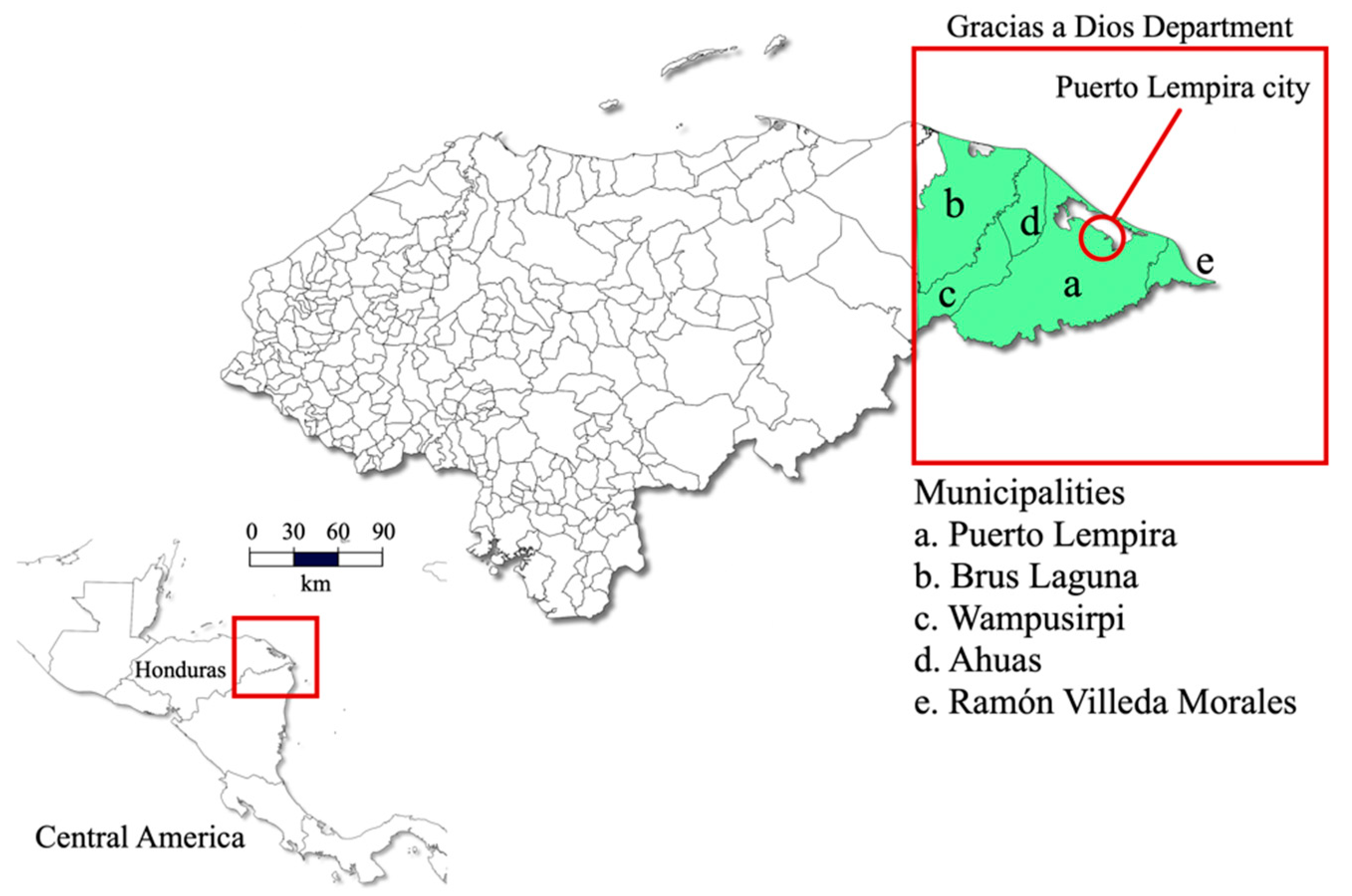 Diagnostics 12 01206 g001