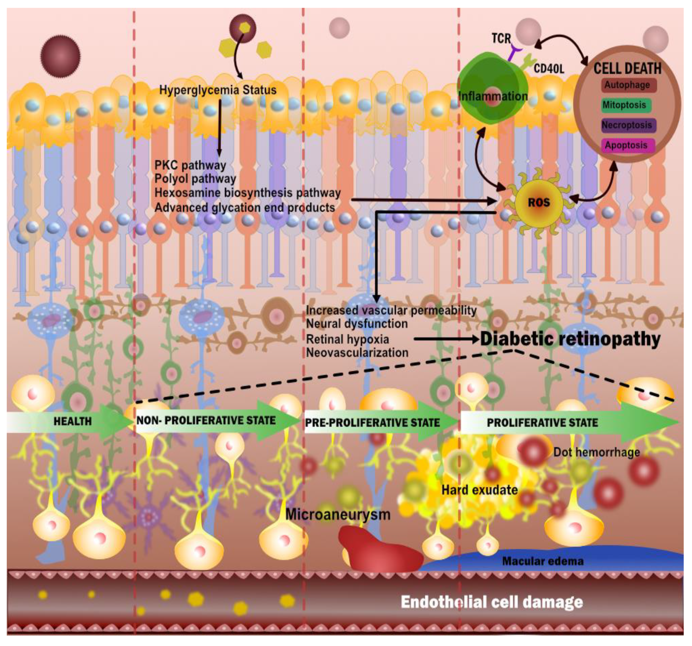 Diagnostics 12 01234 g003 Diagnostics 12 01234 g003