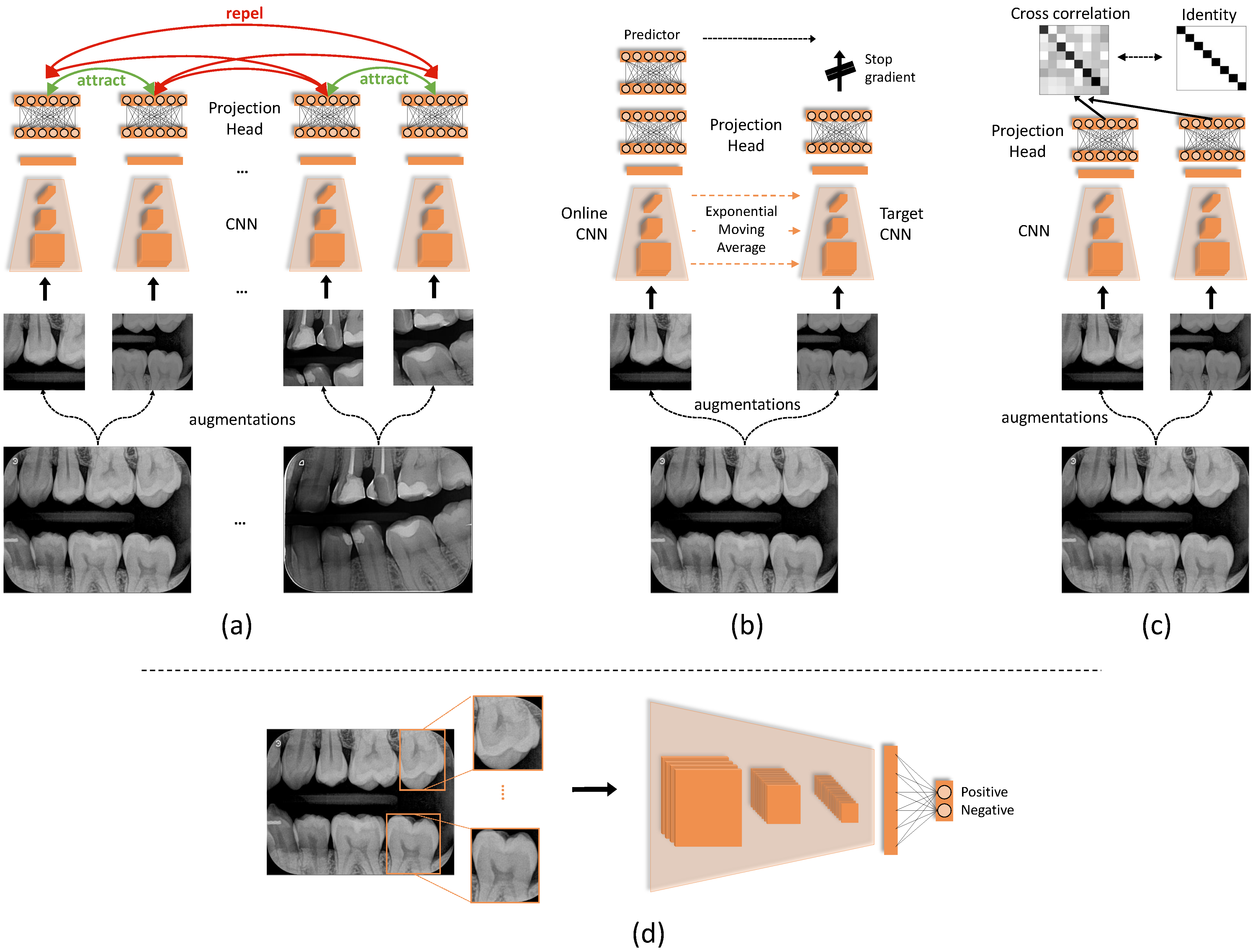 Diagnostics 12 01237 g002