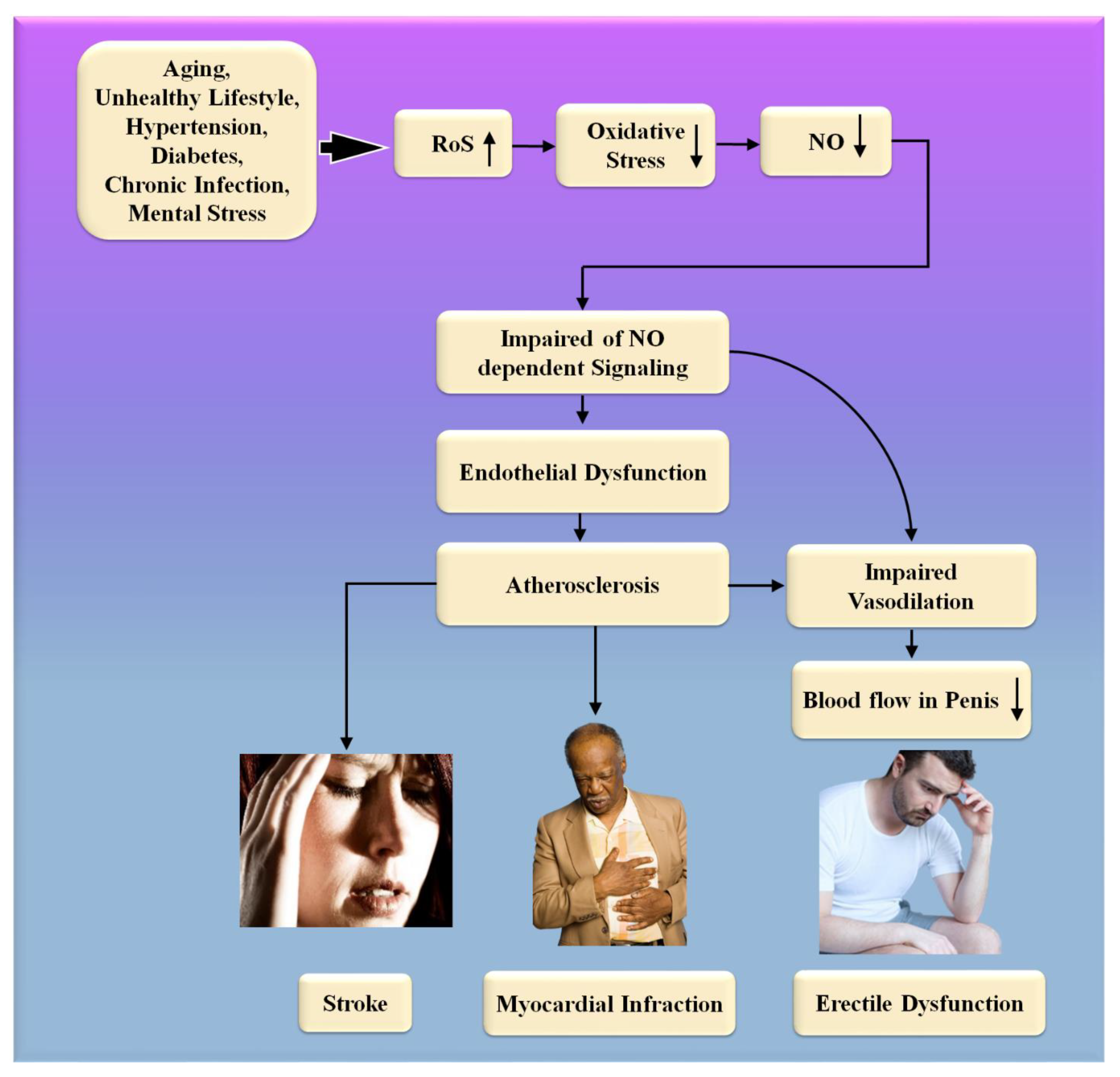Diagnostics 12 01249 g006 Diagnostics 12 01249 g006