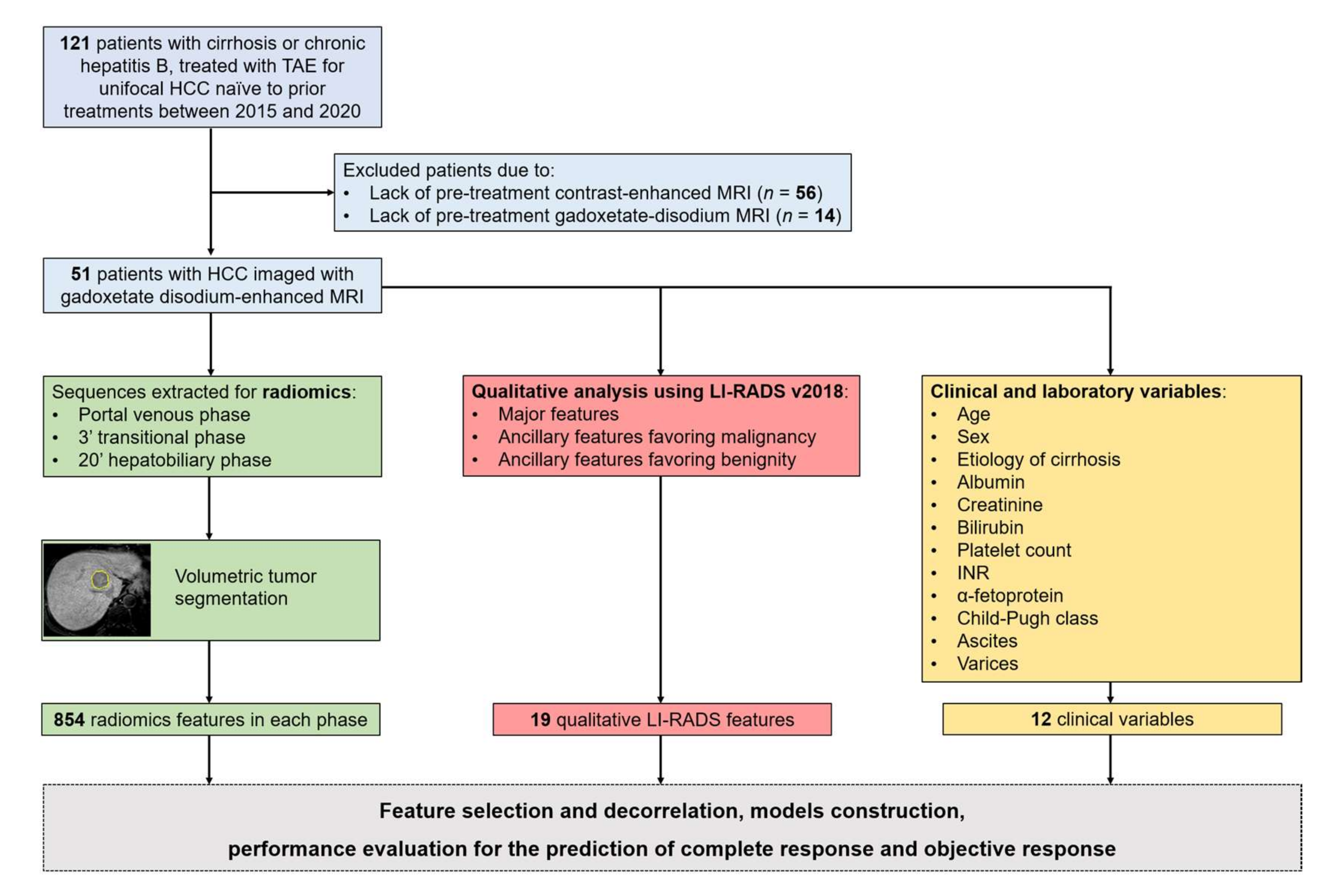 Diagnostics 12 01308 g001