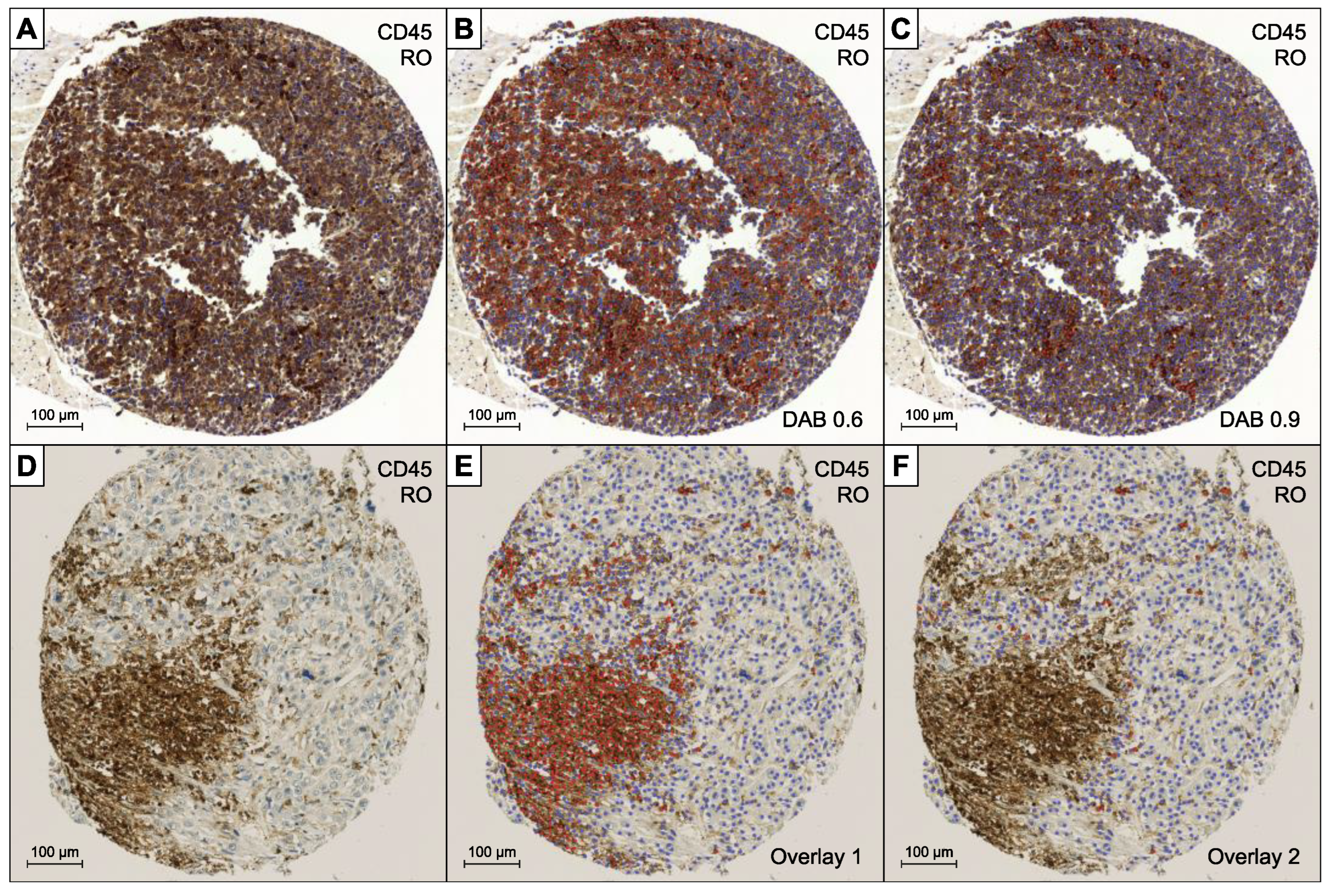 Diagnostics 12 01360 g002