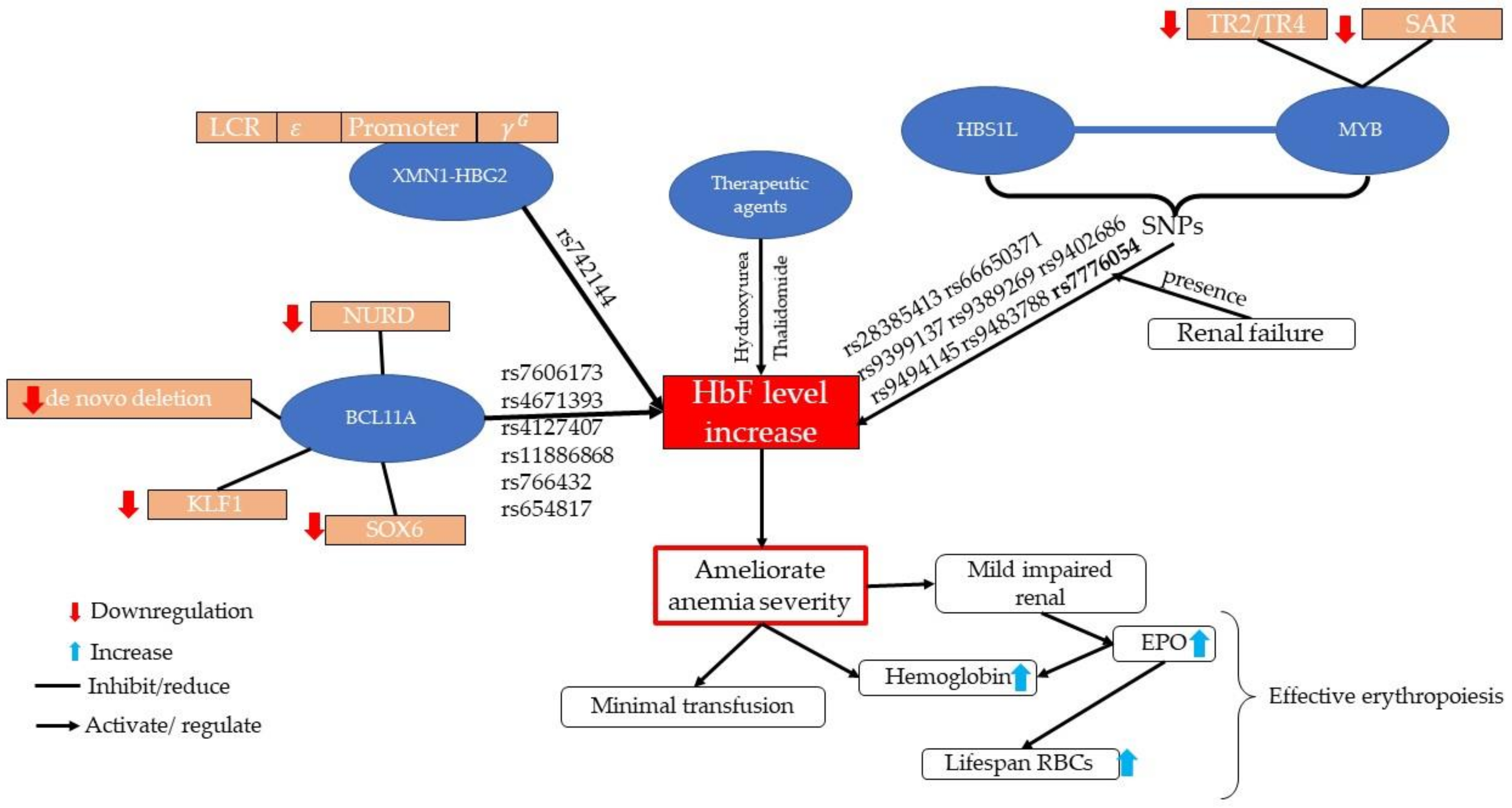 Diagnostics 12 01374 g002
