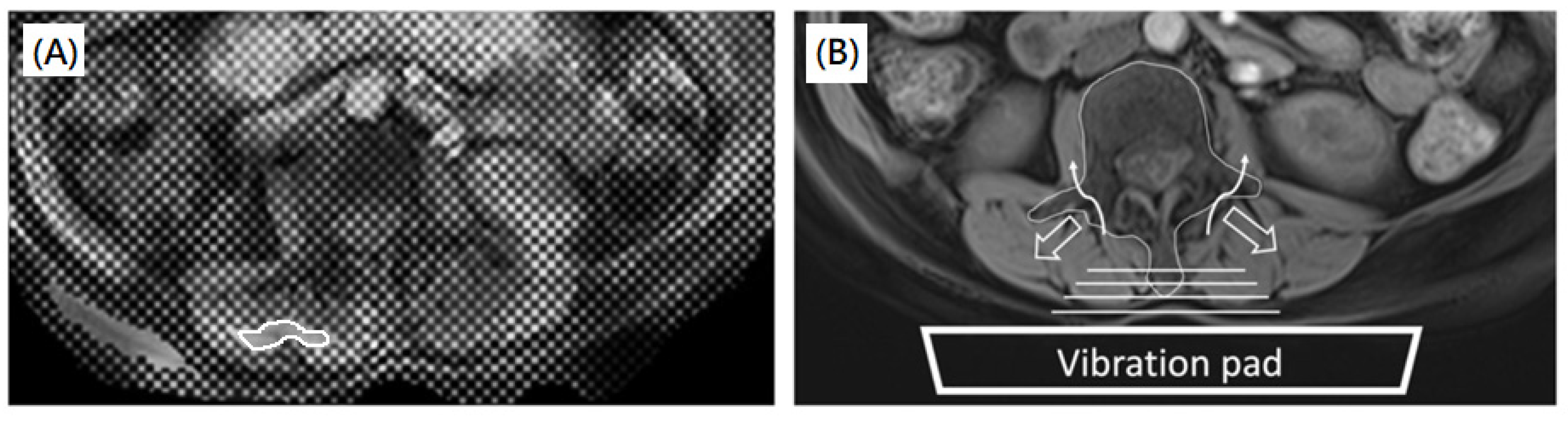 Diagnostics 12 01385 g005