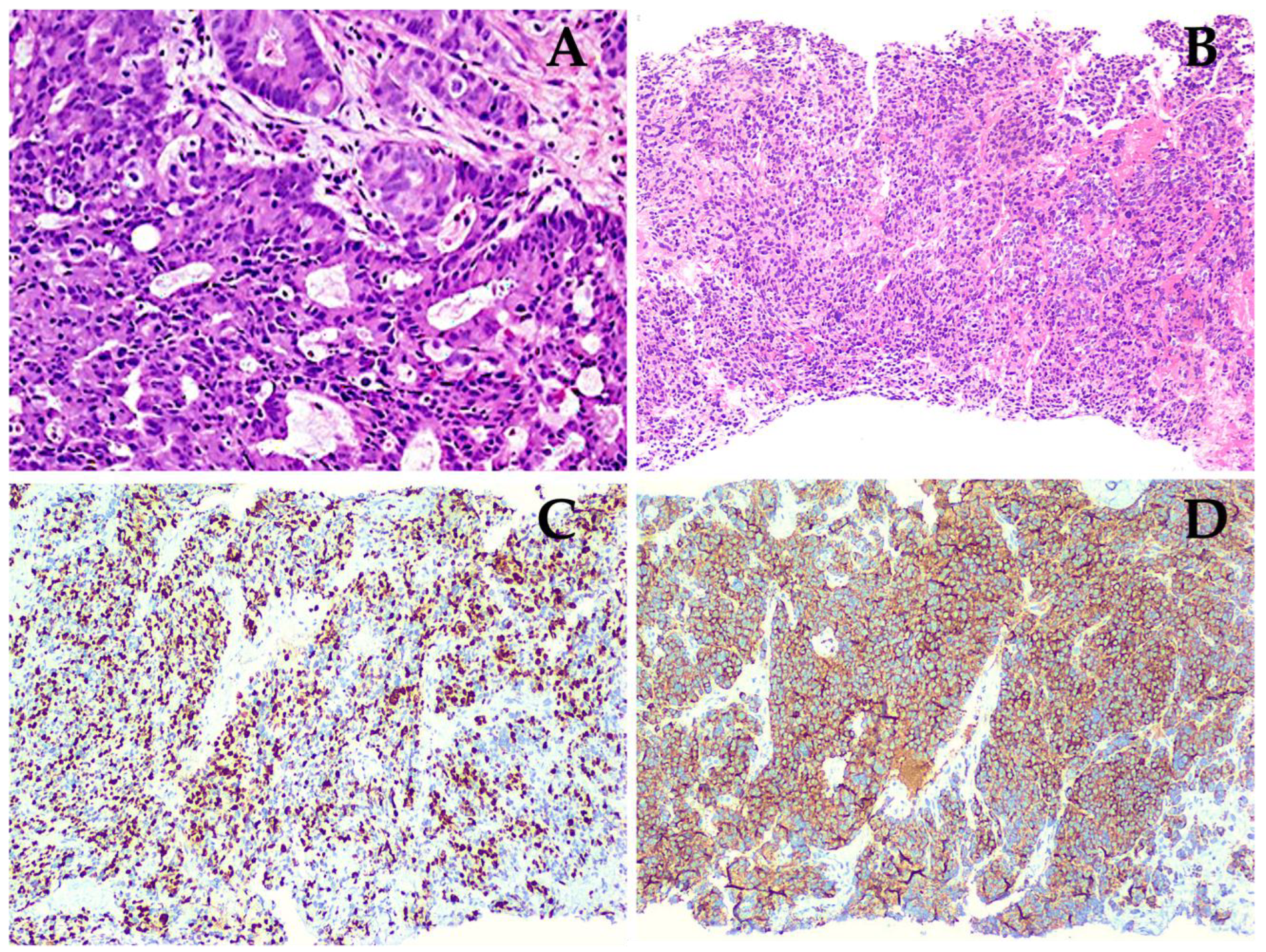 Diagnostics 12 01387 g001