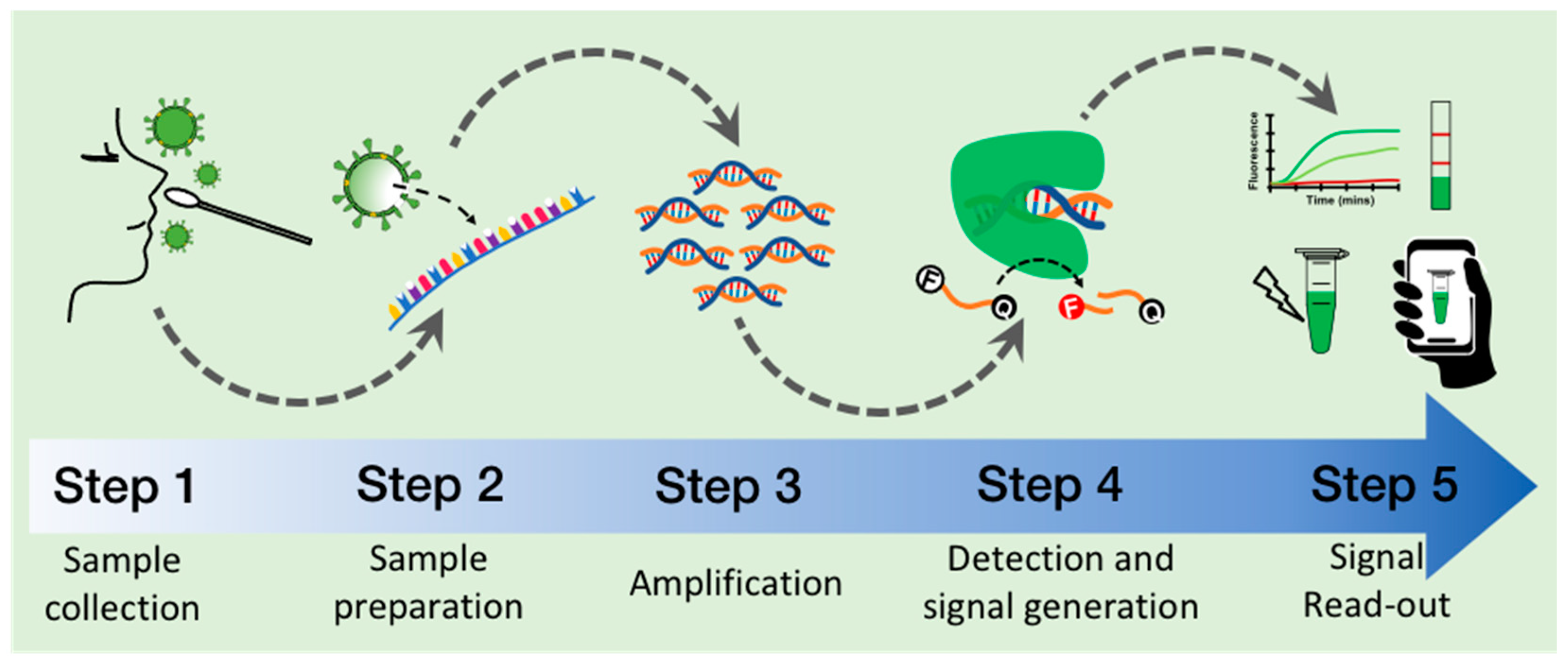 Diagnostics 12 01434 g002