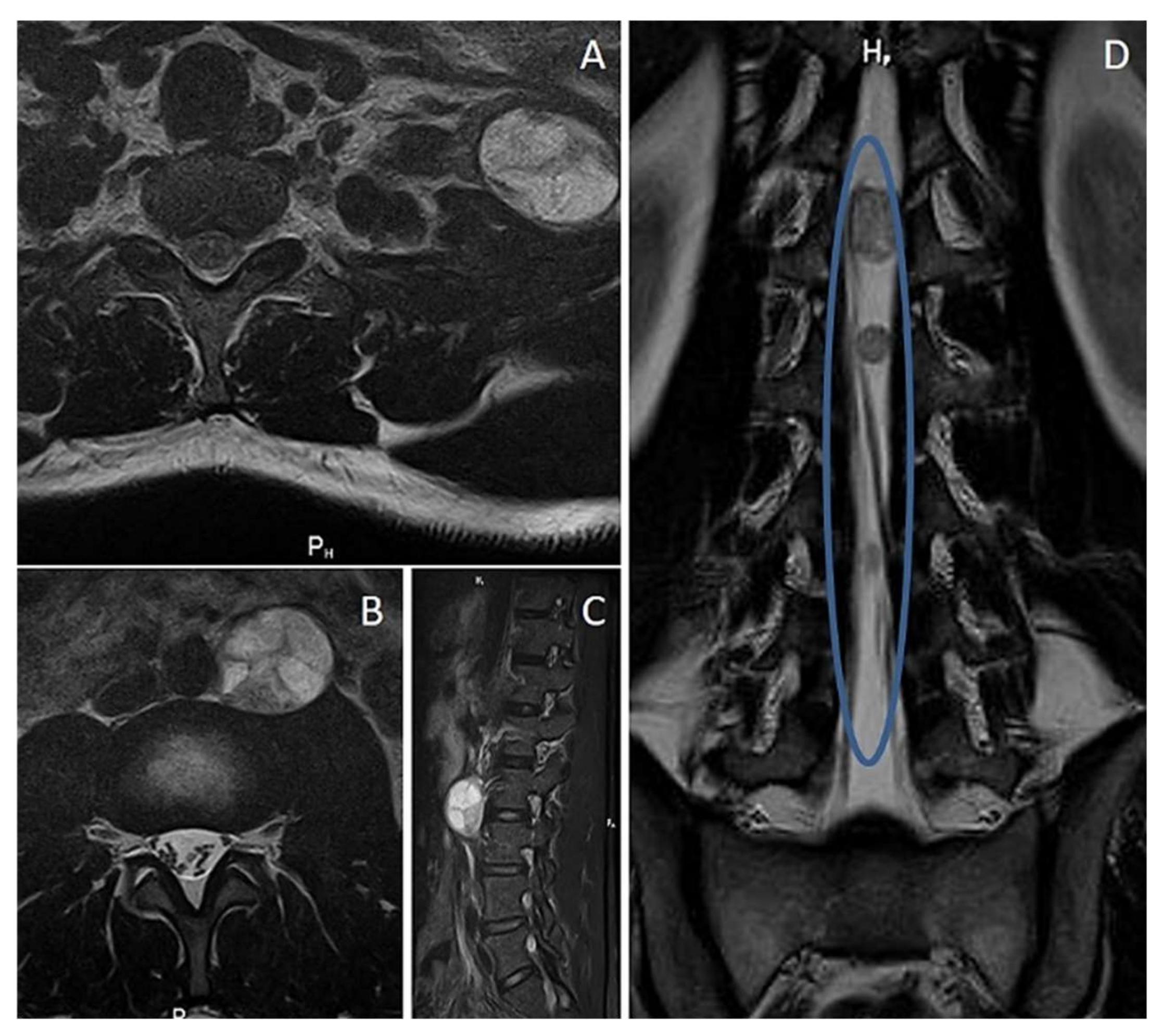Diagnostics 12 01463 g002
