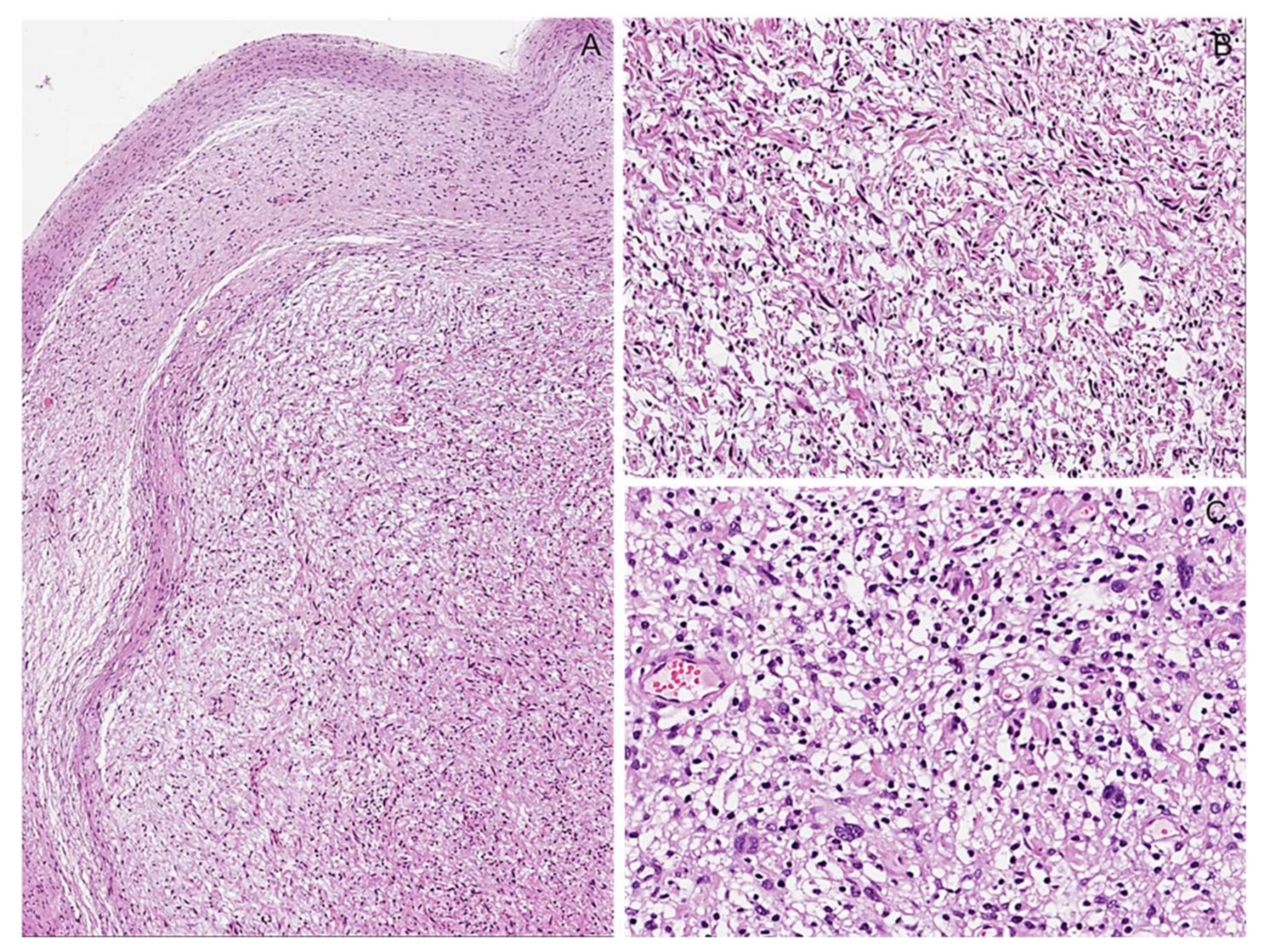 Diagnostics 12 01463 g004