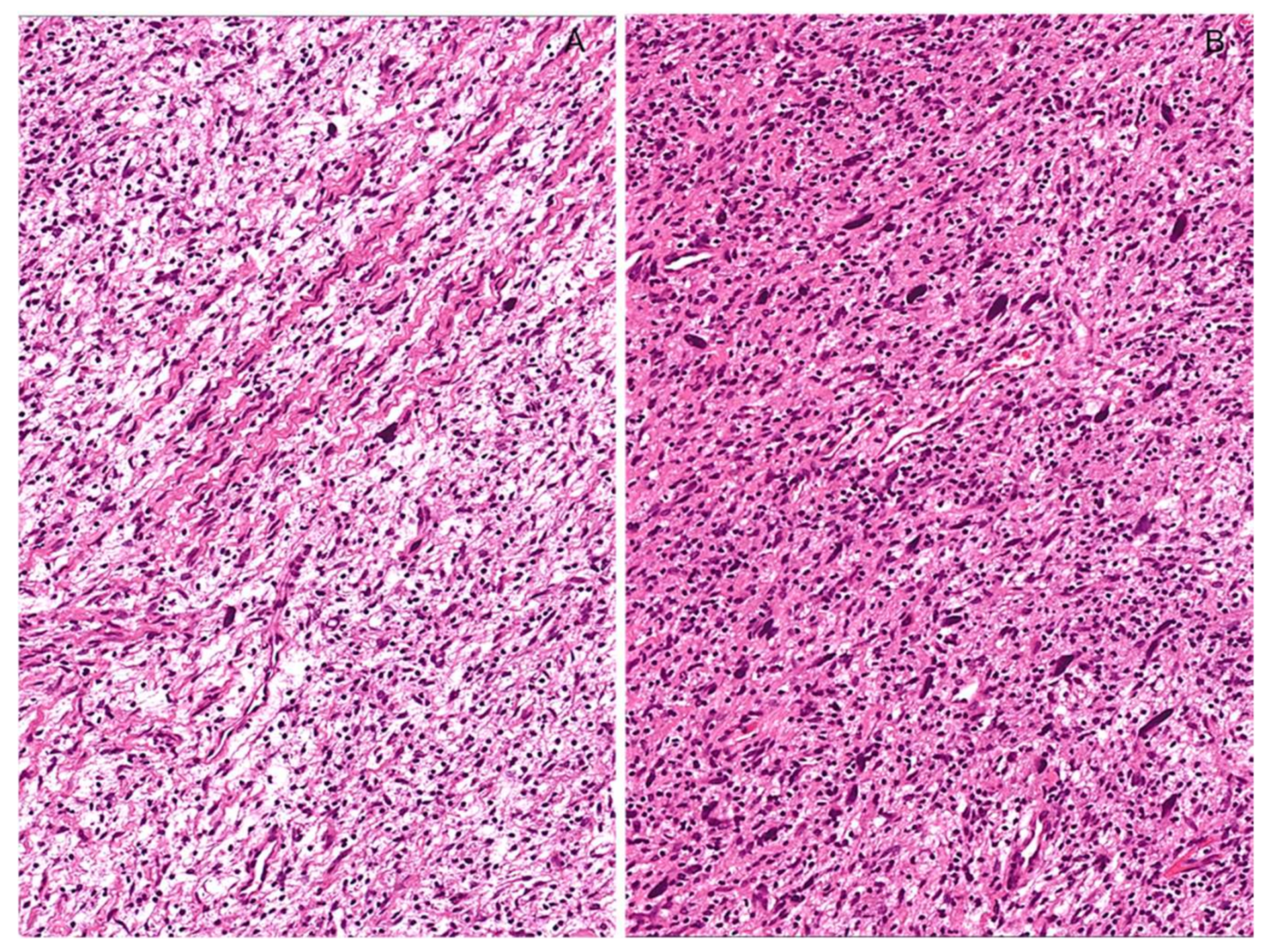 Diagnostics 12 01463 g007