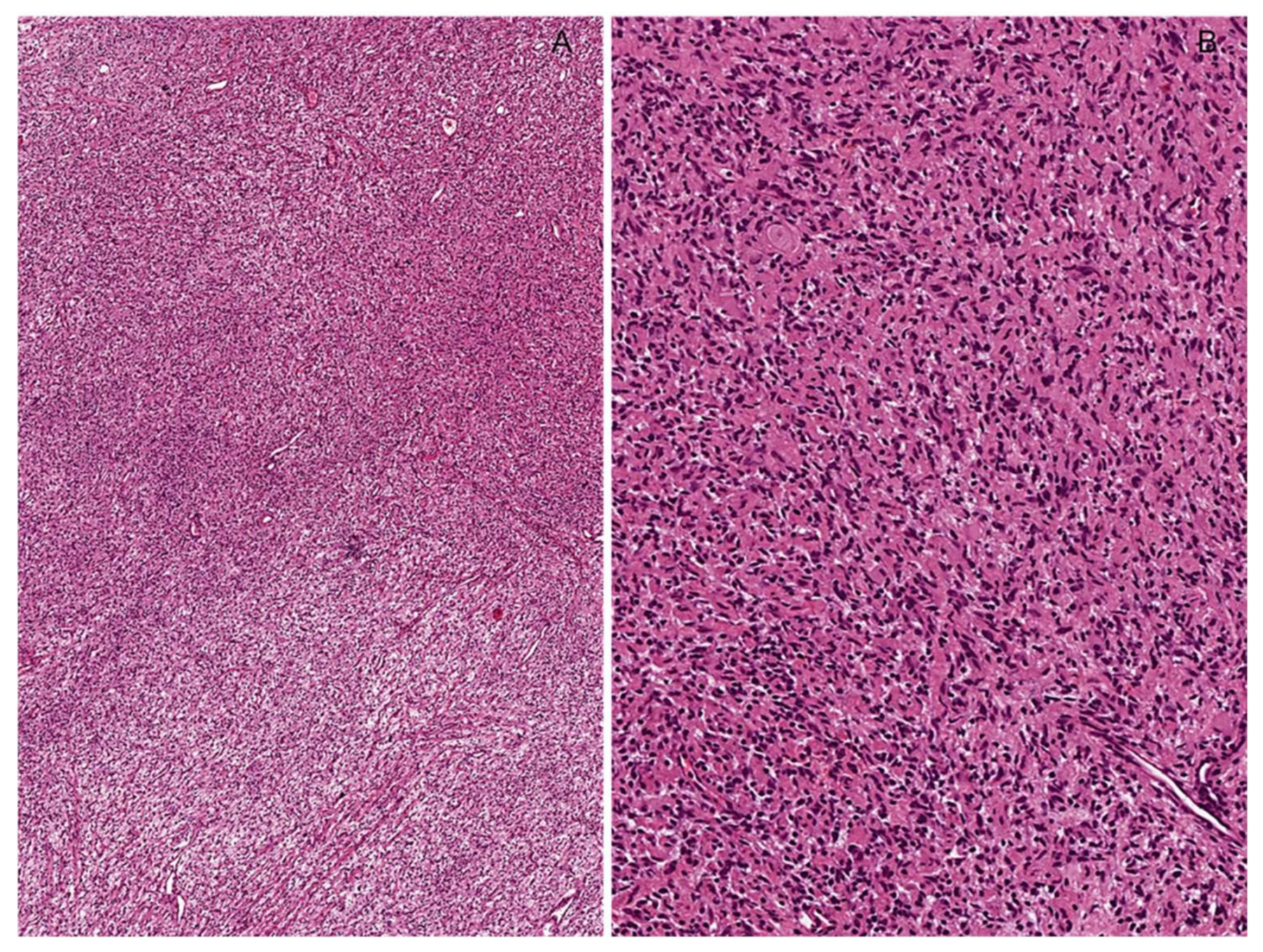 Diagnostics 12 01463 g008