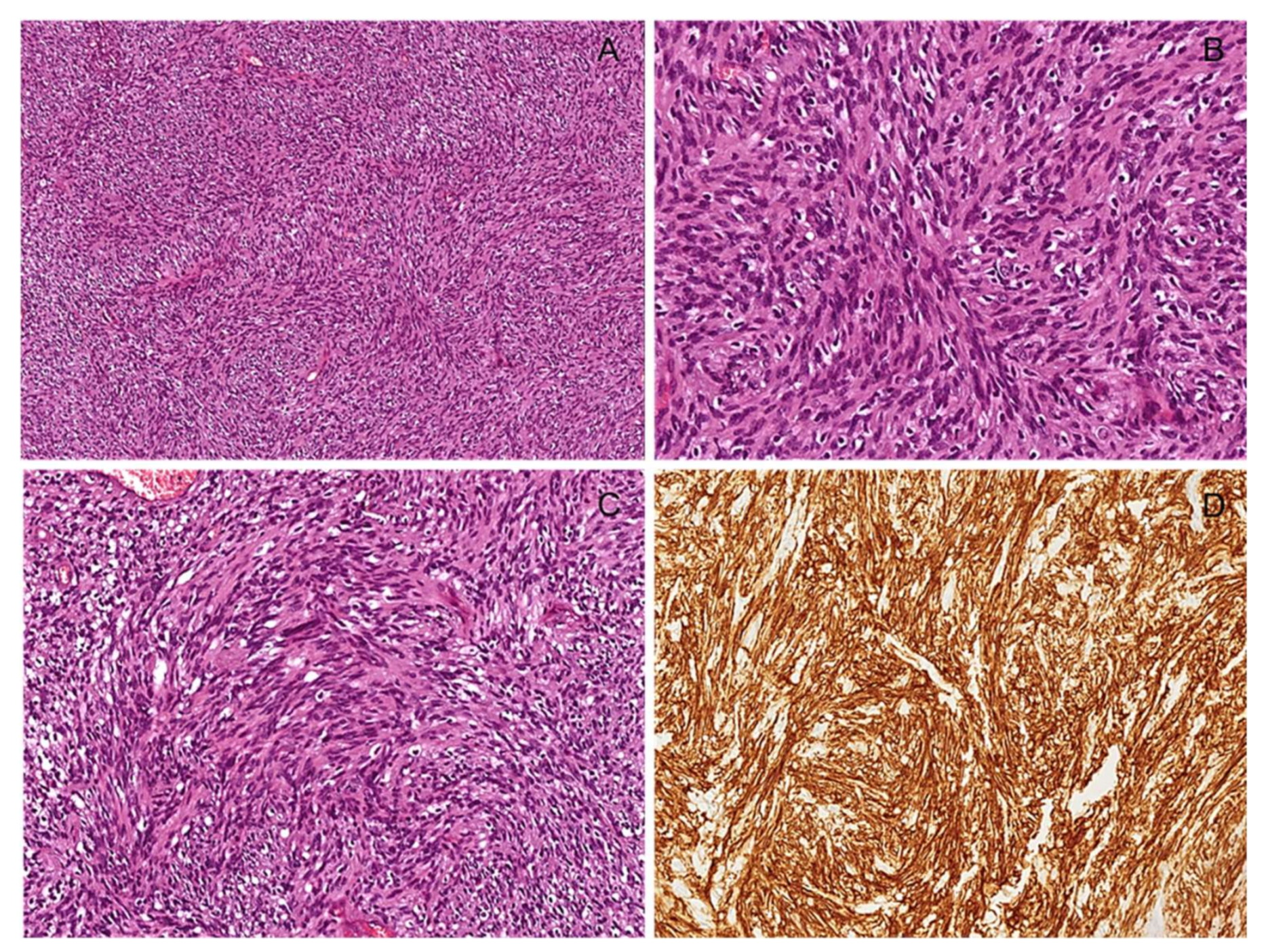 Diagnostics 12 01463 g015