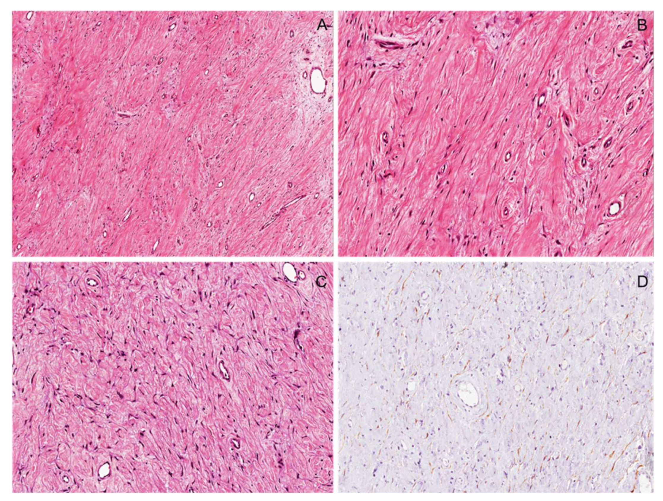 Diagnostics 12 01463 g019
