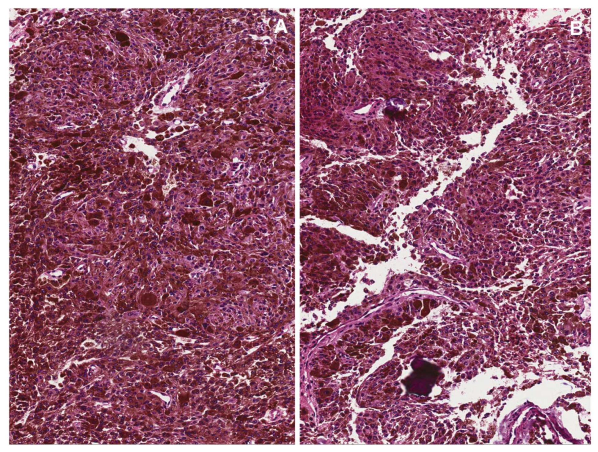 Diagnostics 12 01463 g025
