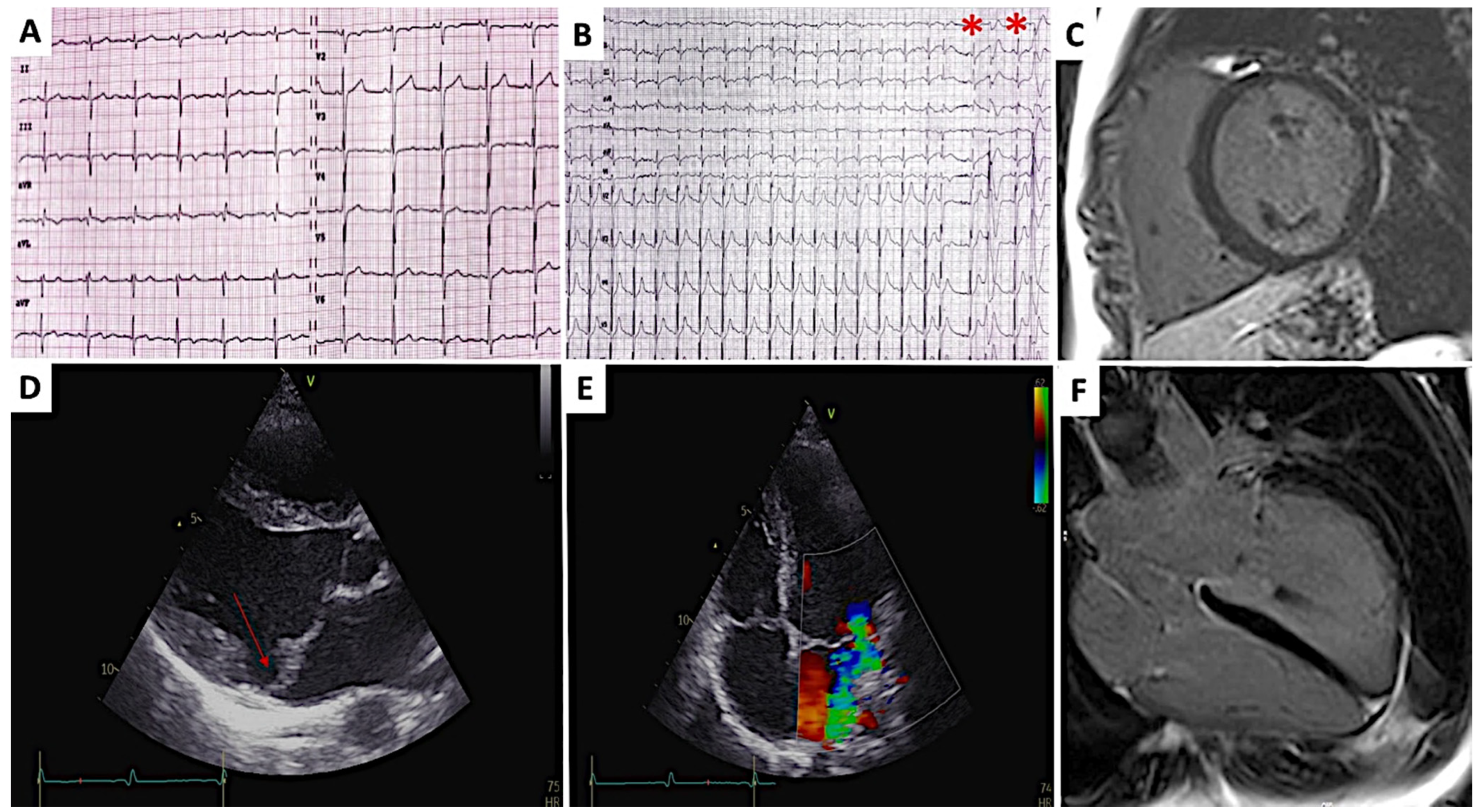 Diagnostics 12 01519 g001