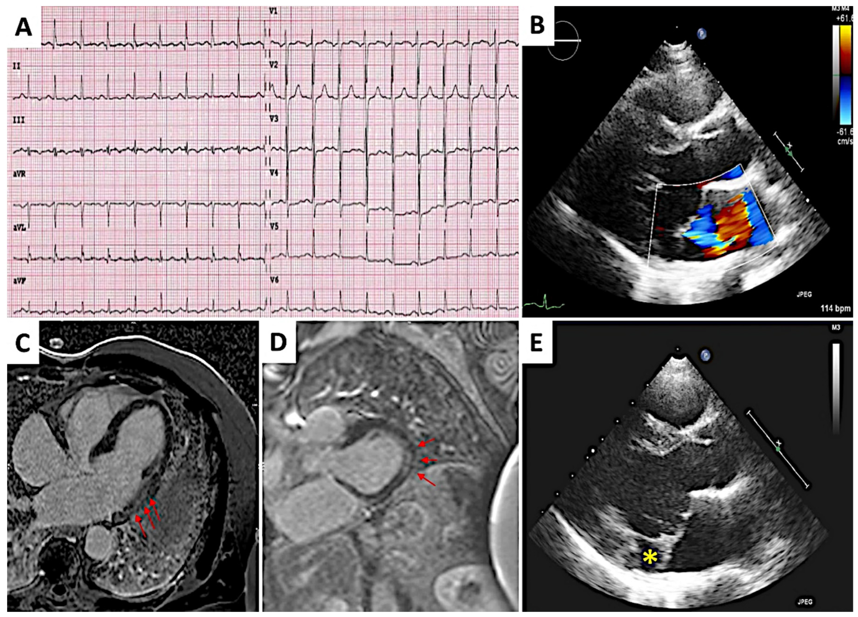 Diagnostics 12 01519 g002