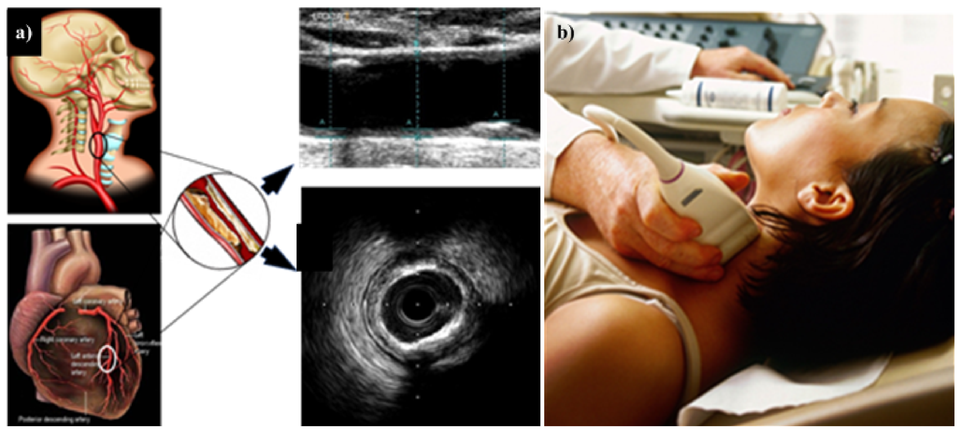Diagnostics 12 01543 g016