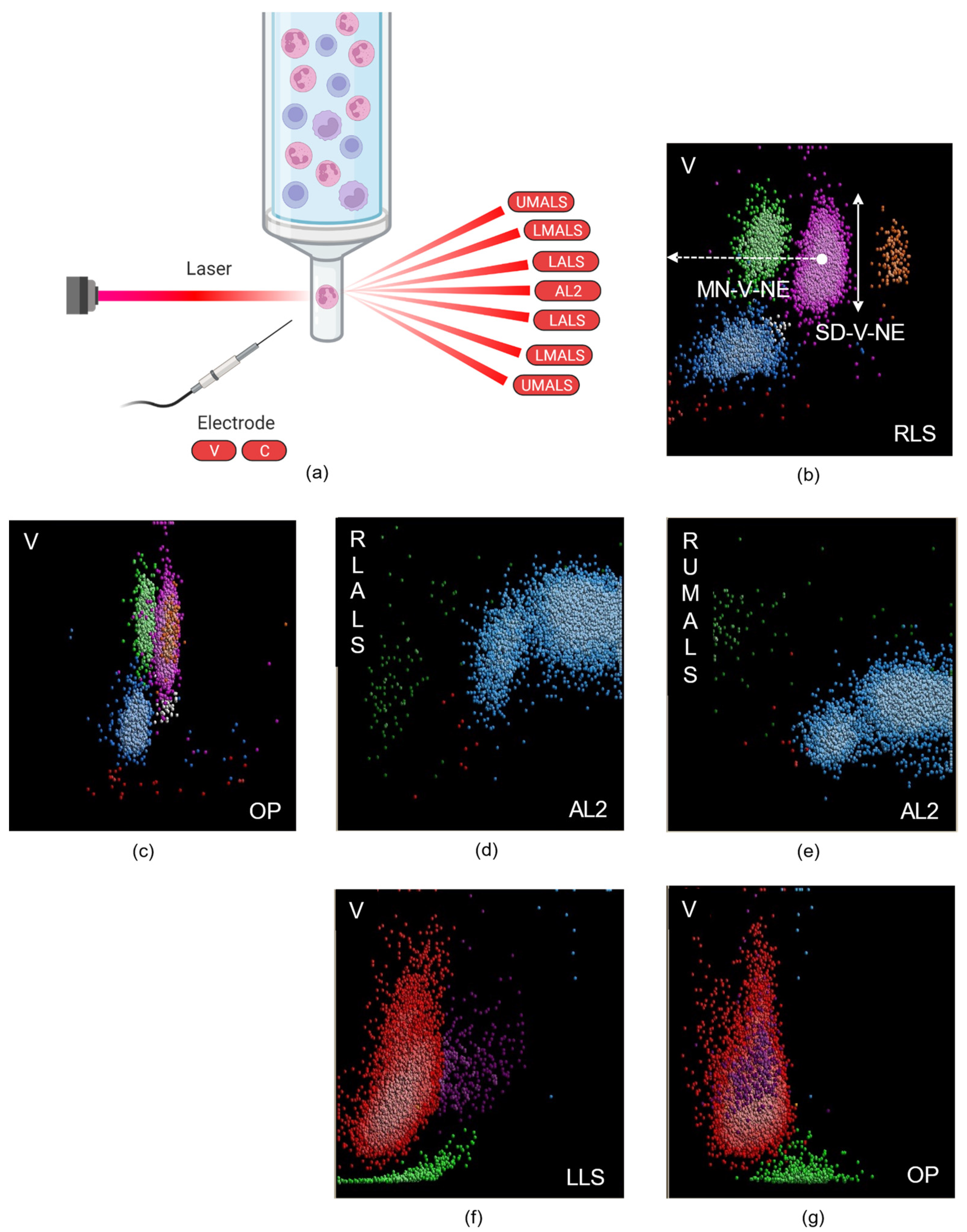 Diagnostics 12 01556 g001