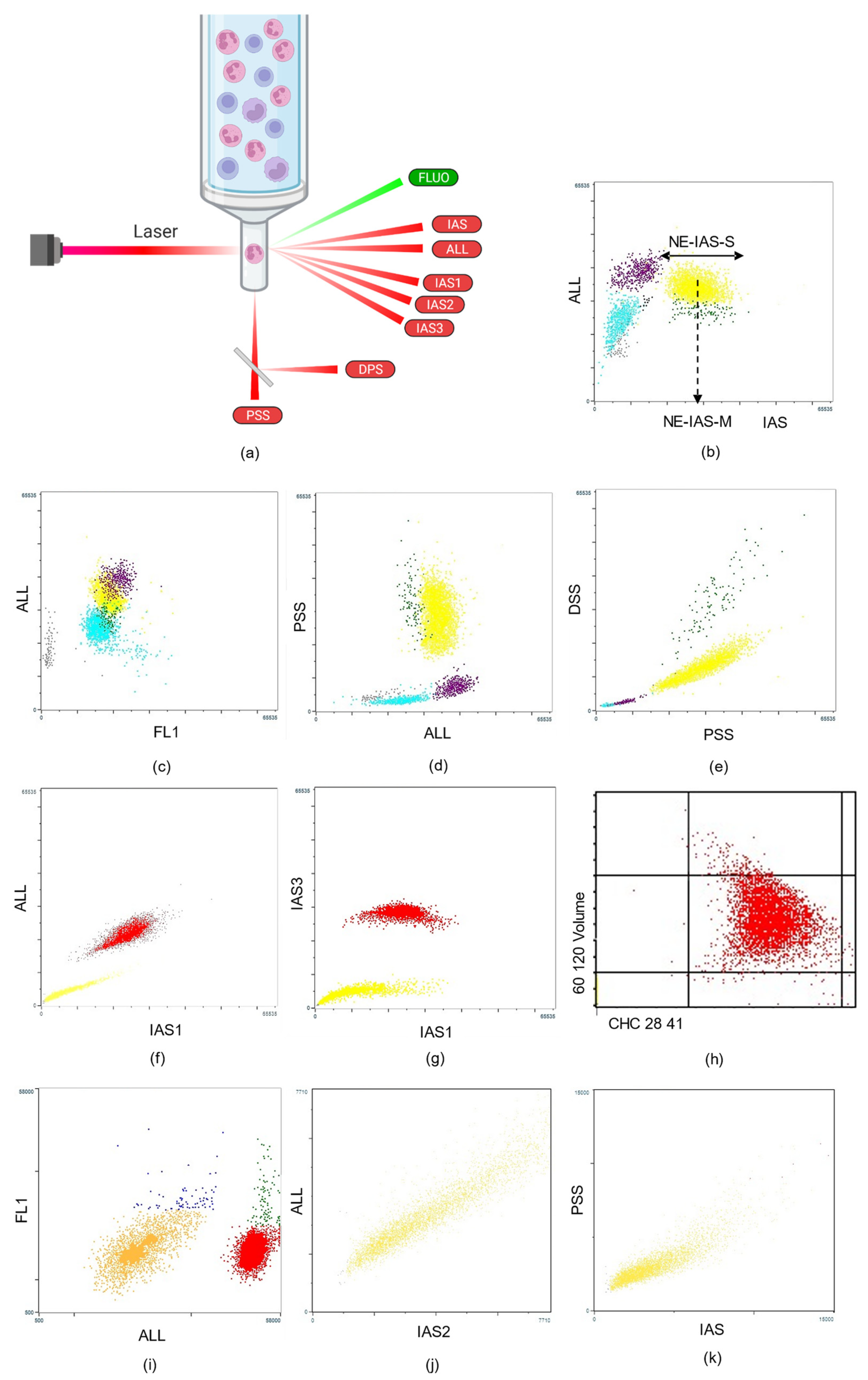Diagnostics 12 01556 g003