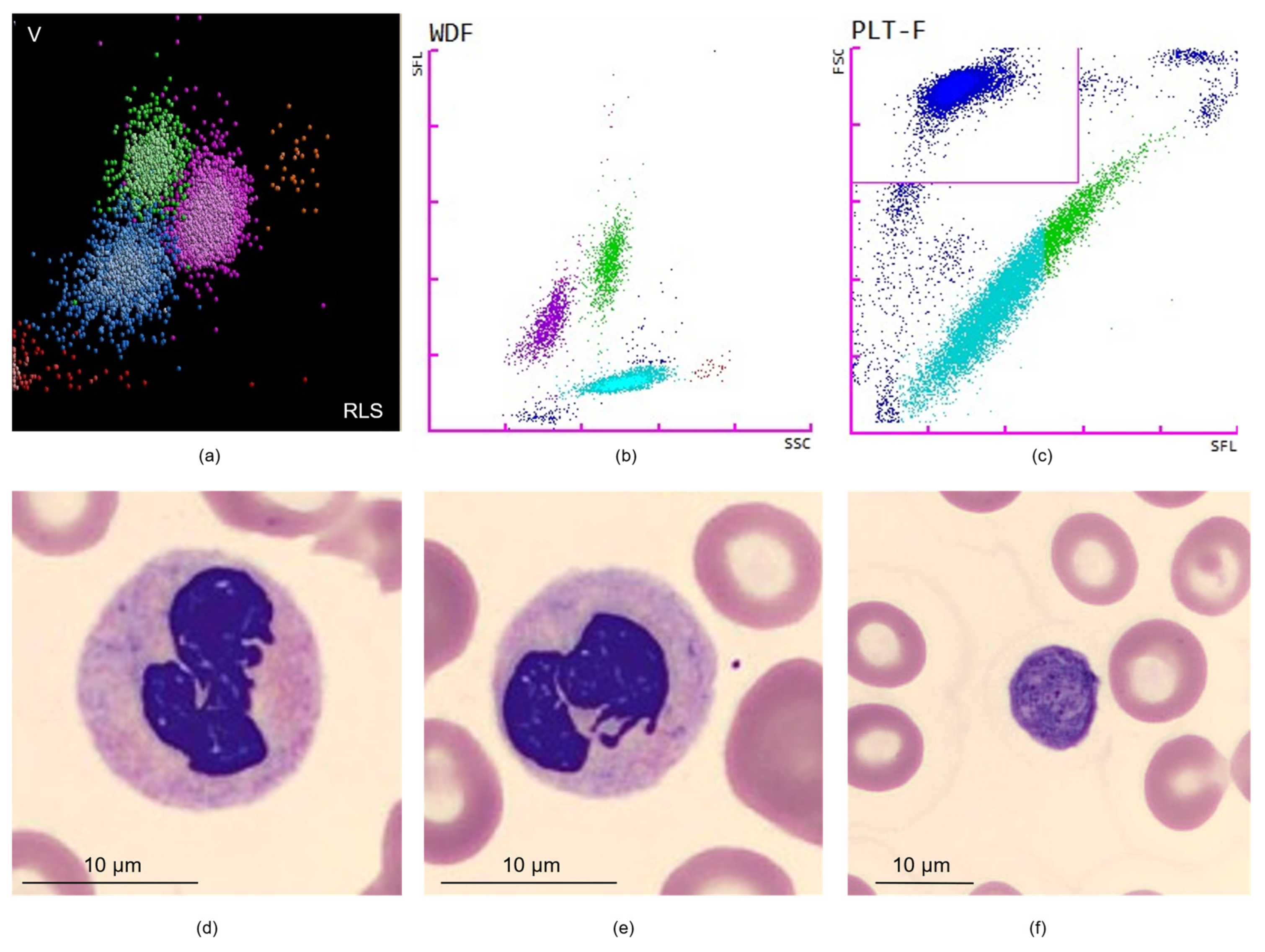 Diagnostics 12 01556 g004