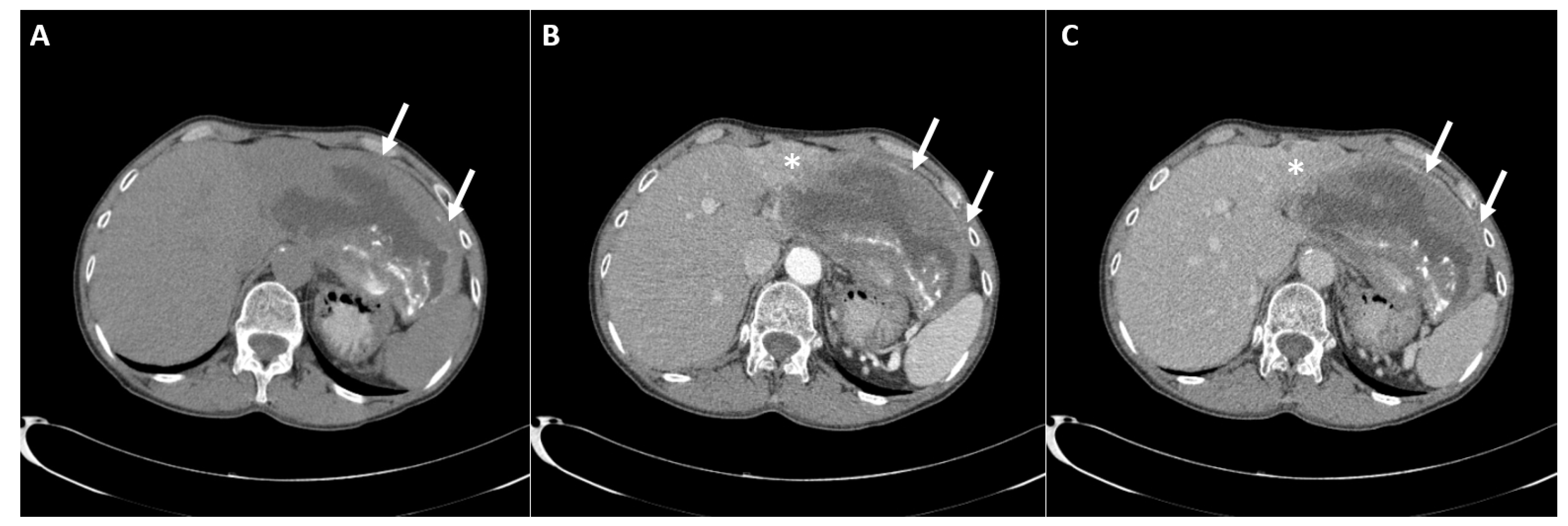 Diagnostics 12 01583 g001 Diagnostics 12 01583 g001
