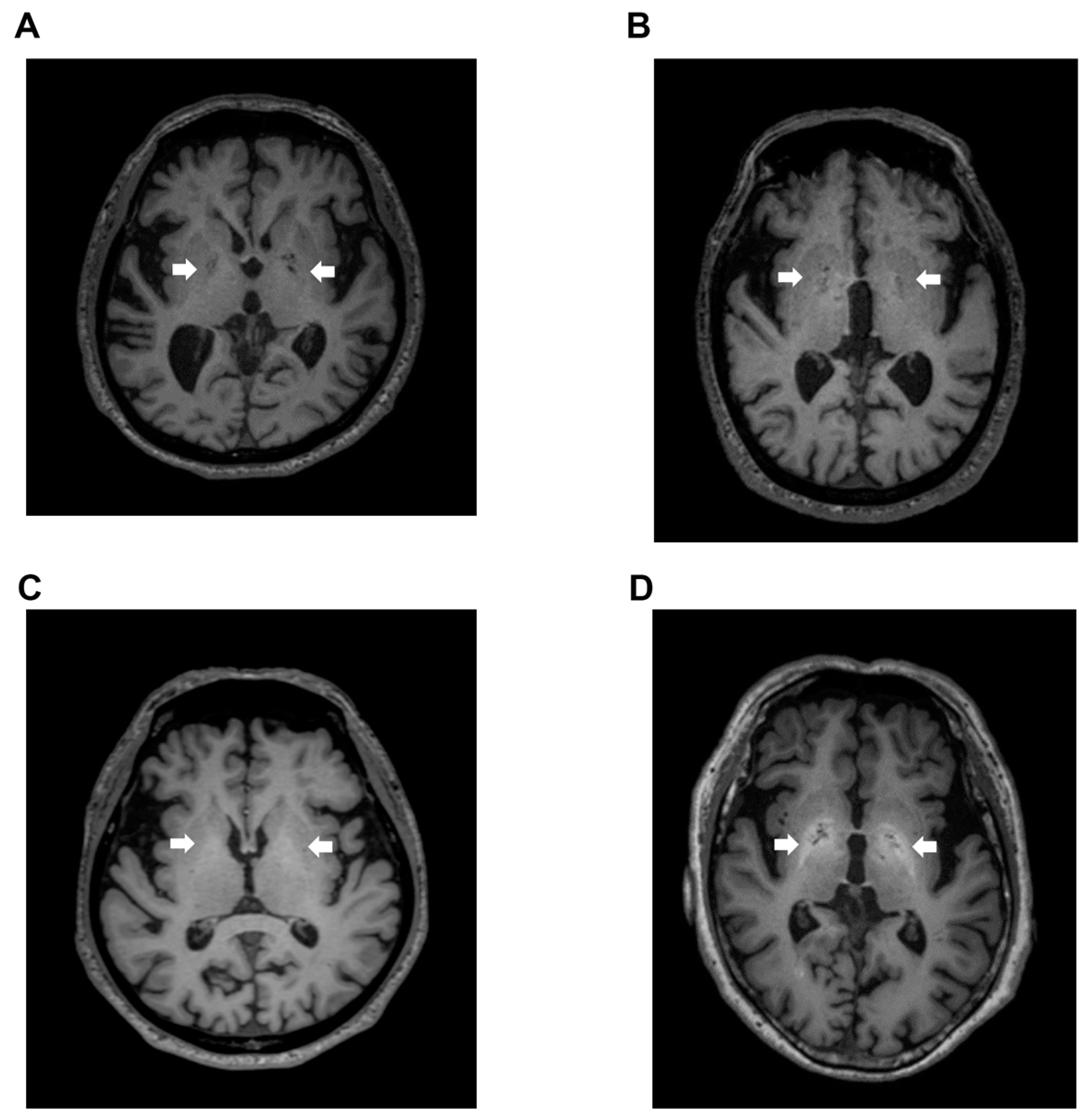 Diagnostics 12 01584 g002