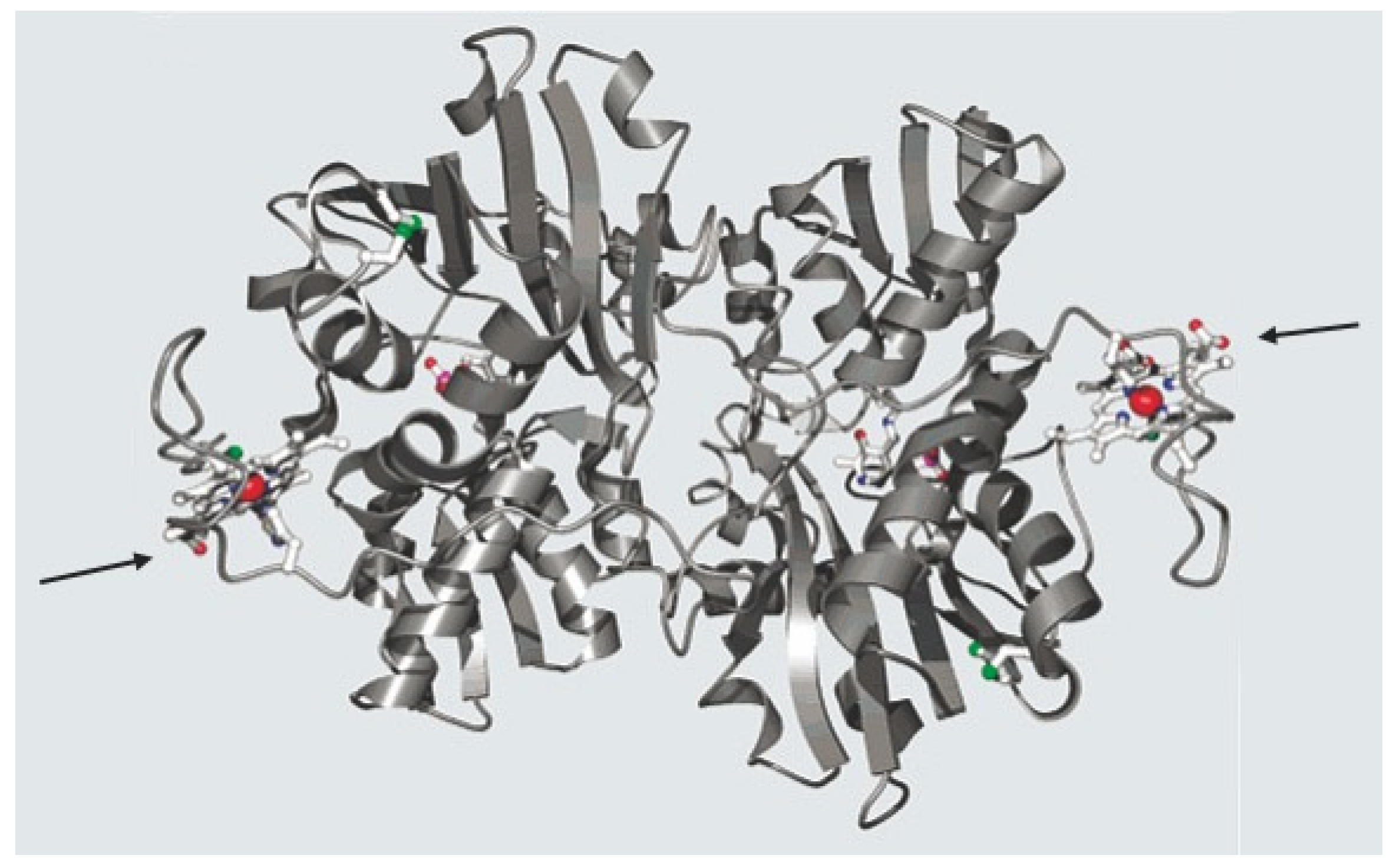 Diagnostics 12 01618 g001