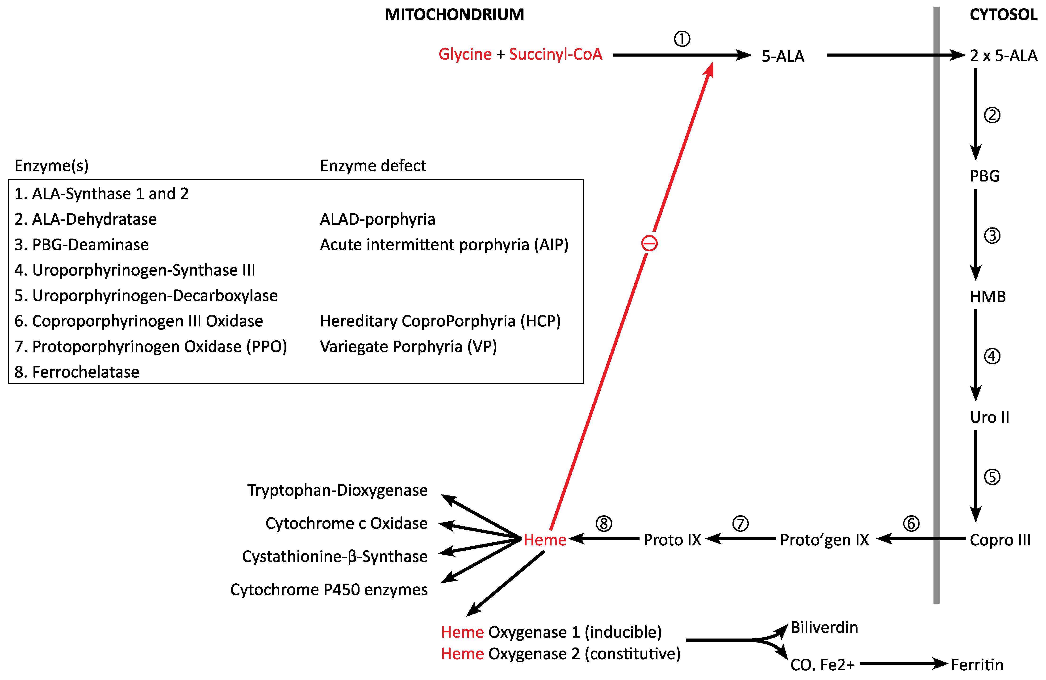 Diagnostics 12 01618 g002