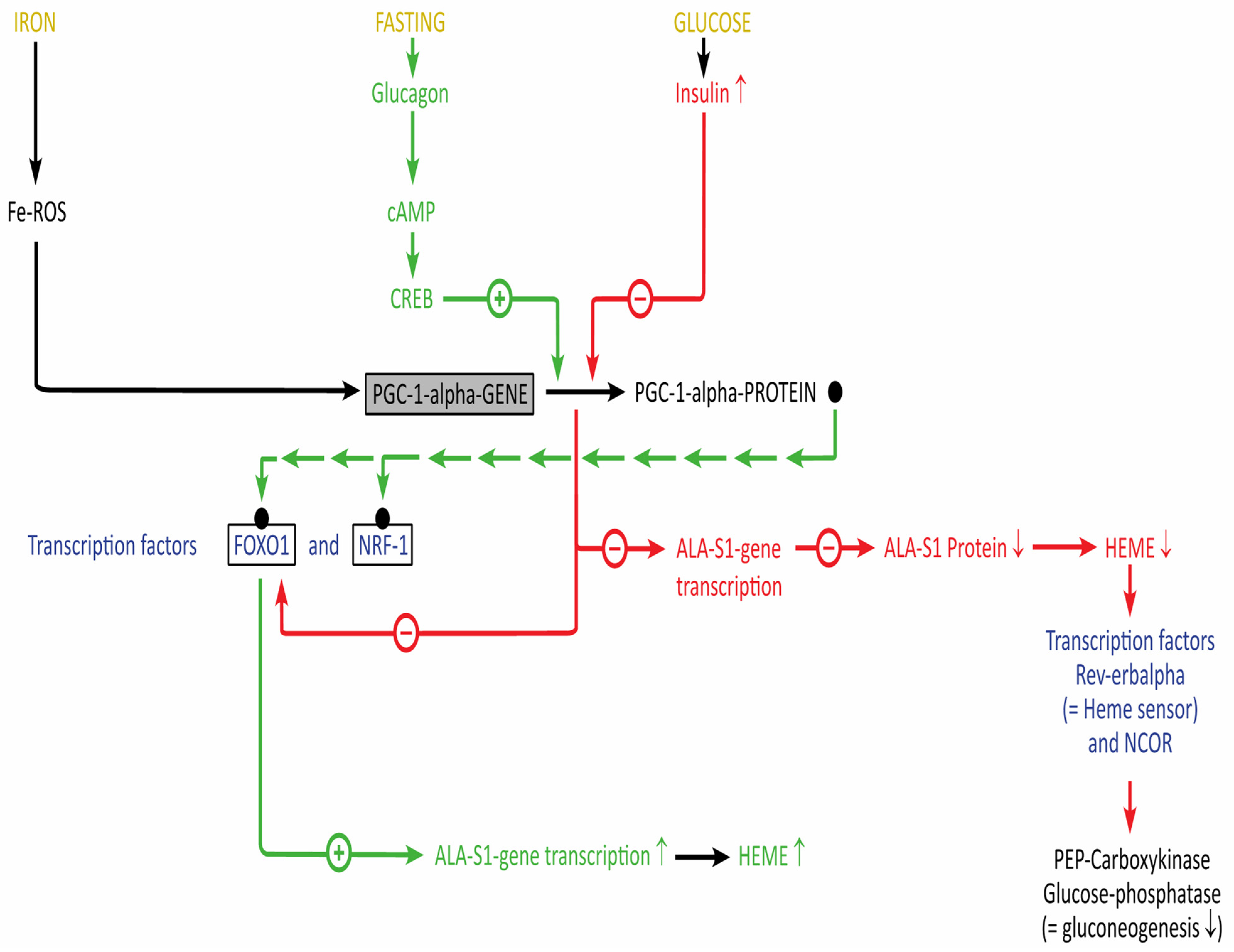Diagnostics 12 01618 g005