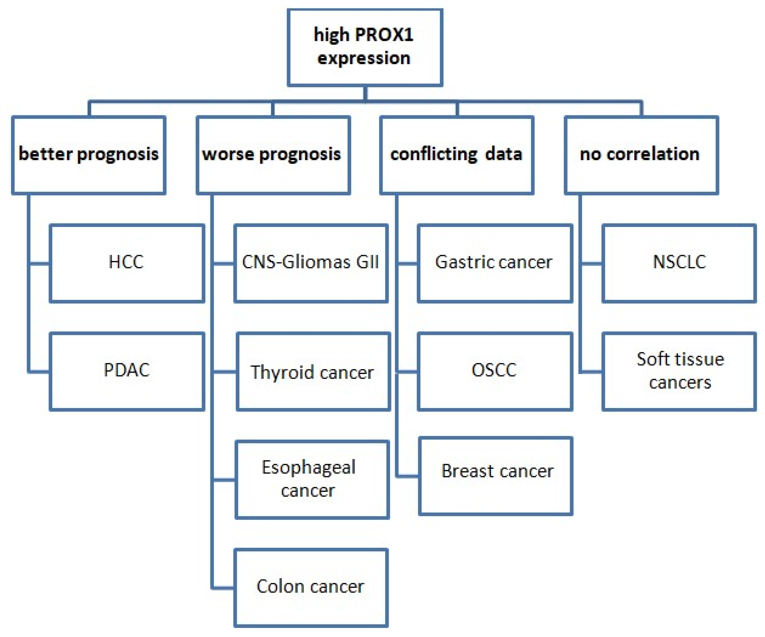 Diagnostics 12 01624 g003 Diagnostics 12 01624 g003