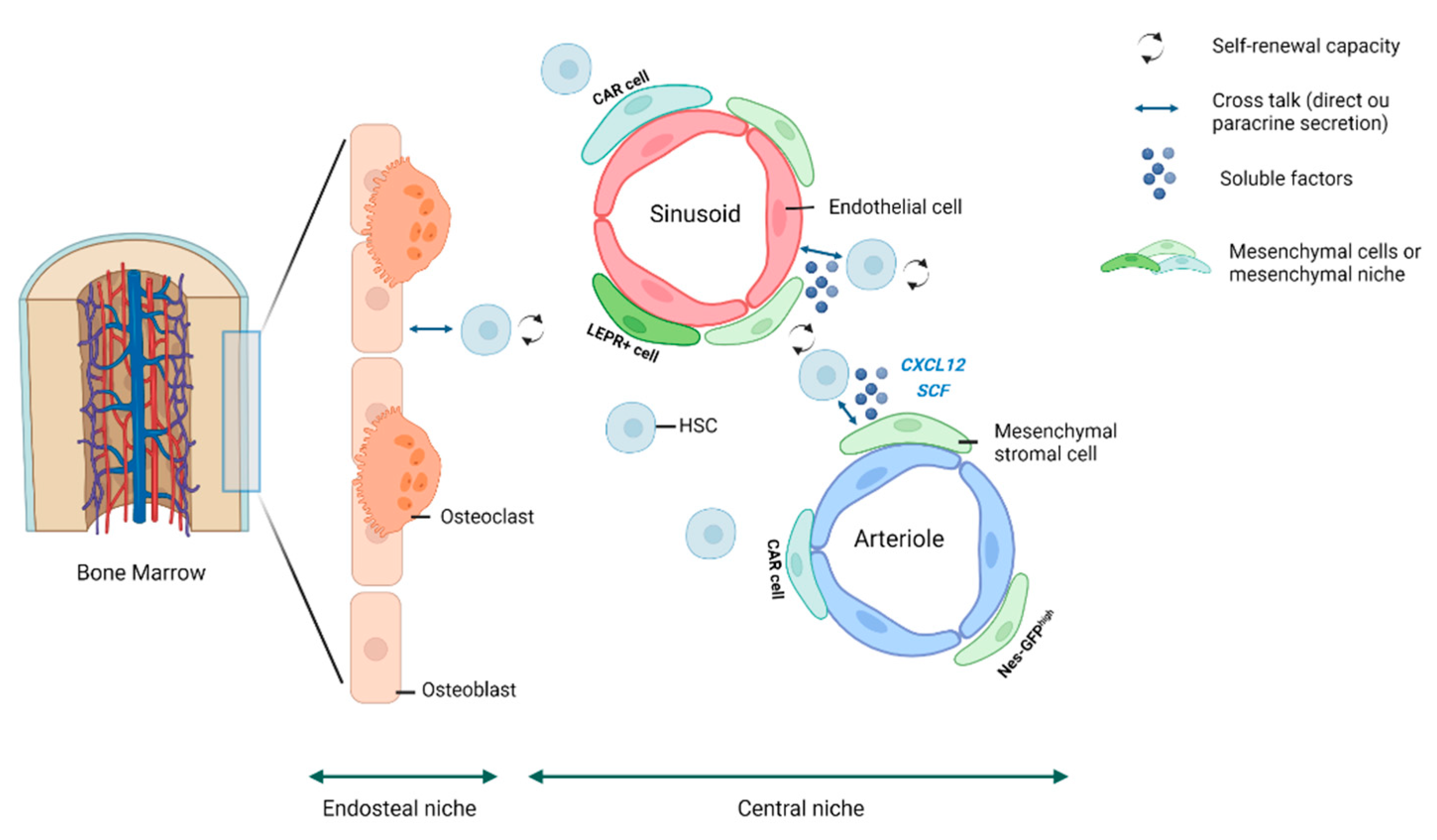 Diagnostics 12 01639 g001