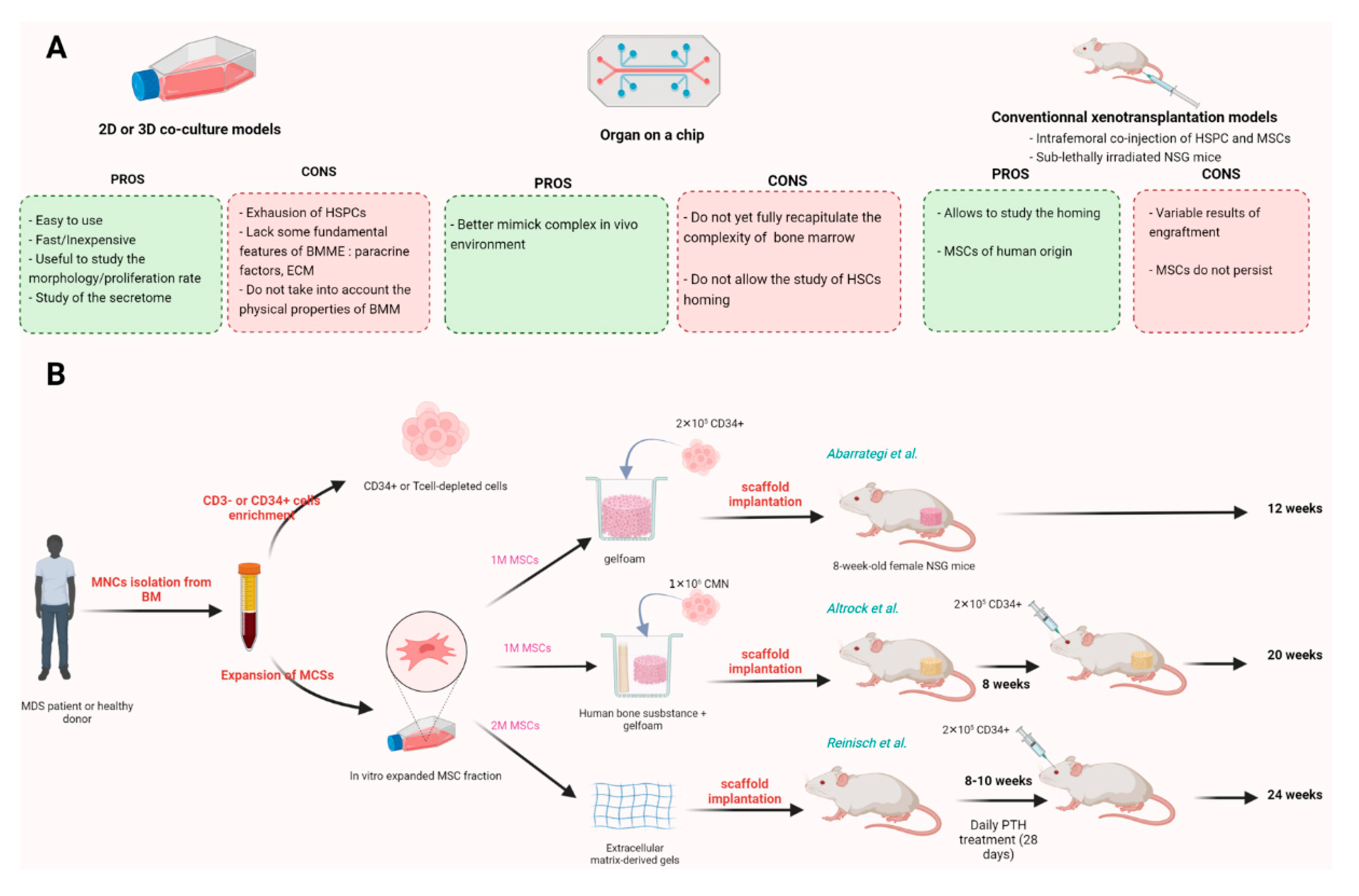 Diagnostics 12 01639 g003
