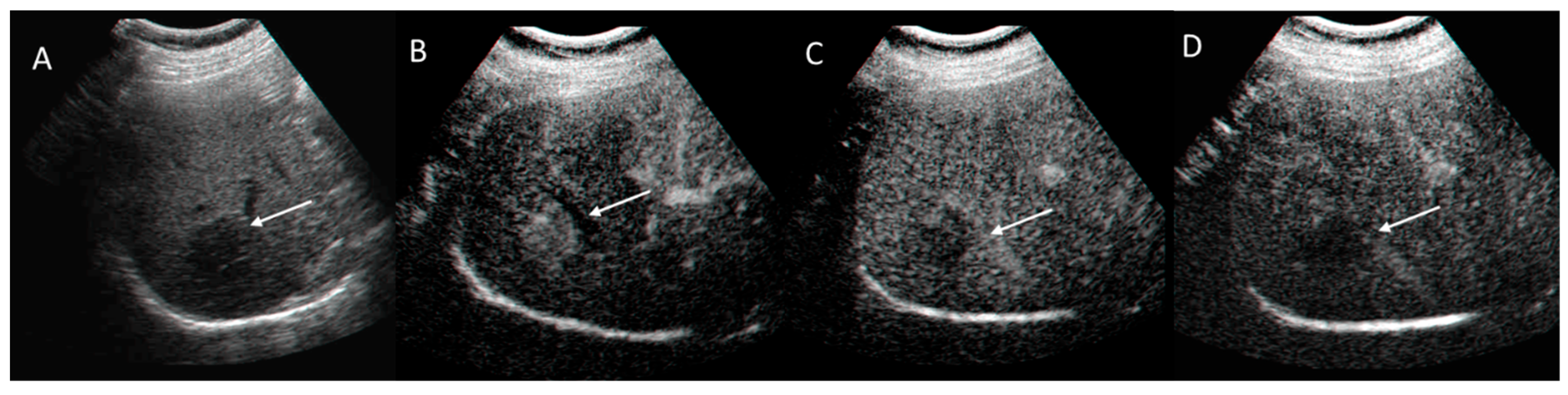 Diagnostics 12 01655 g002