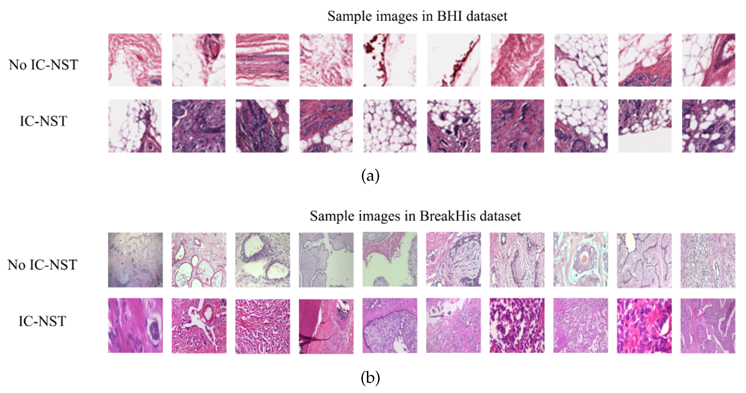 Diagnostics 12 01669 g003