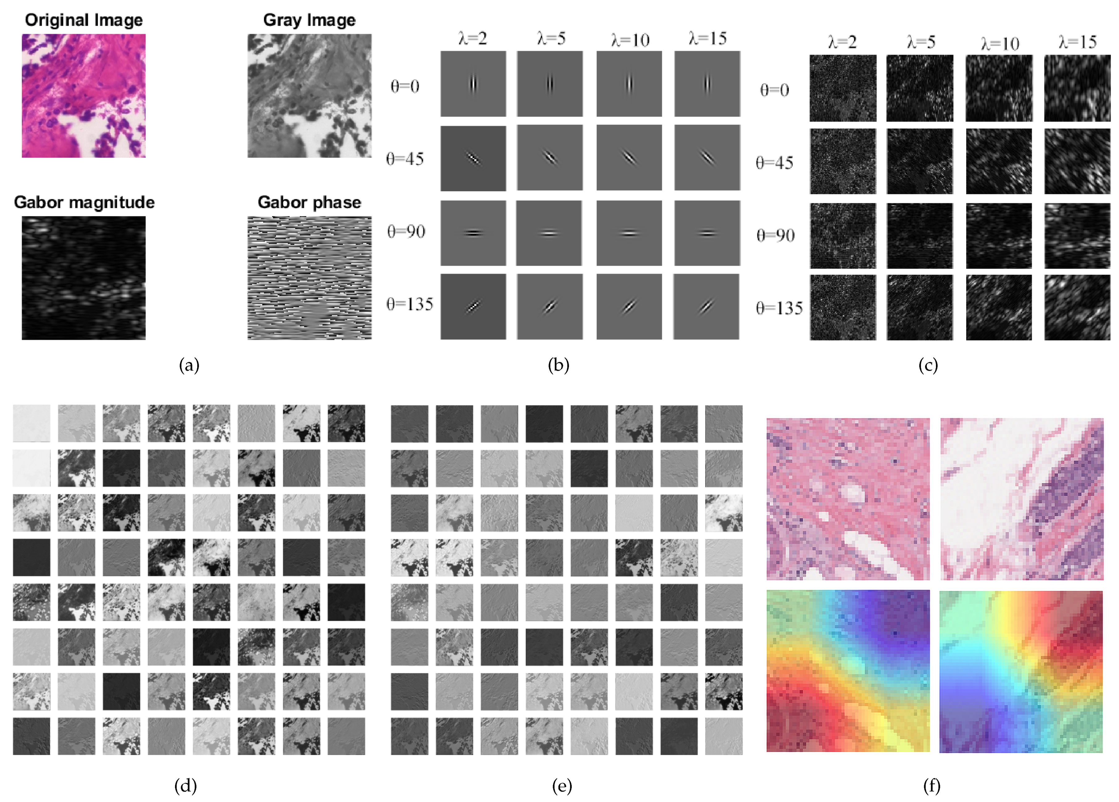 Diagnostics 12 01669 g005