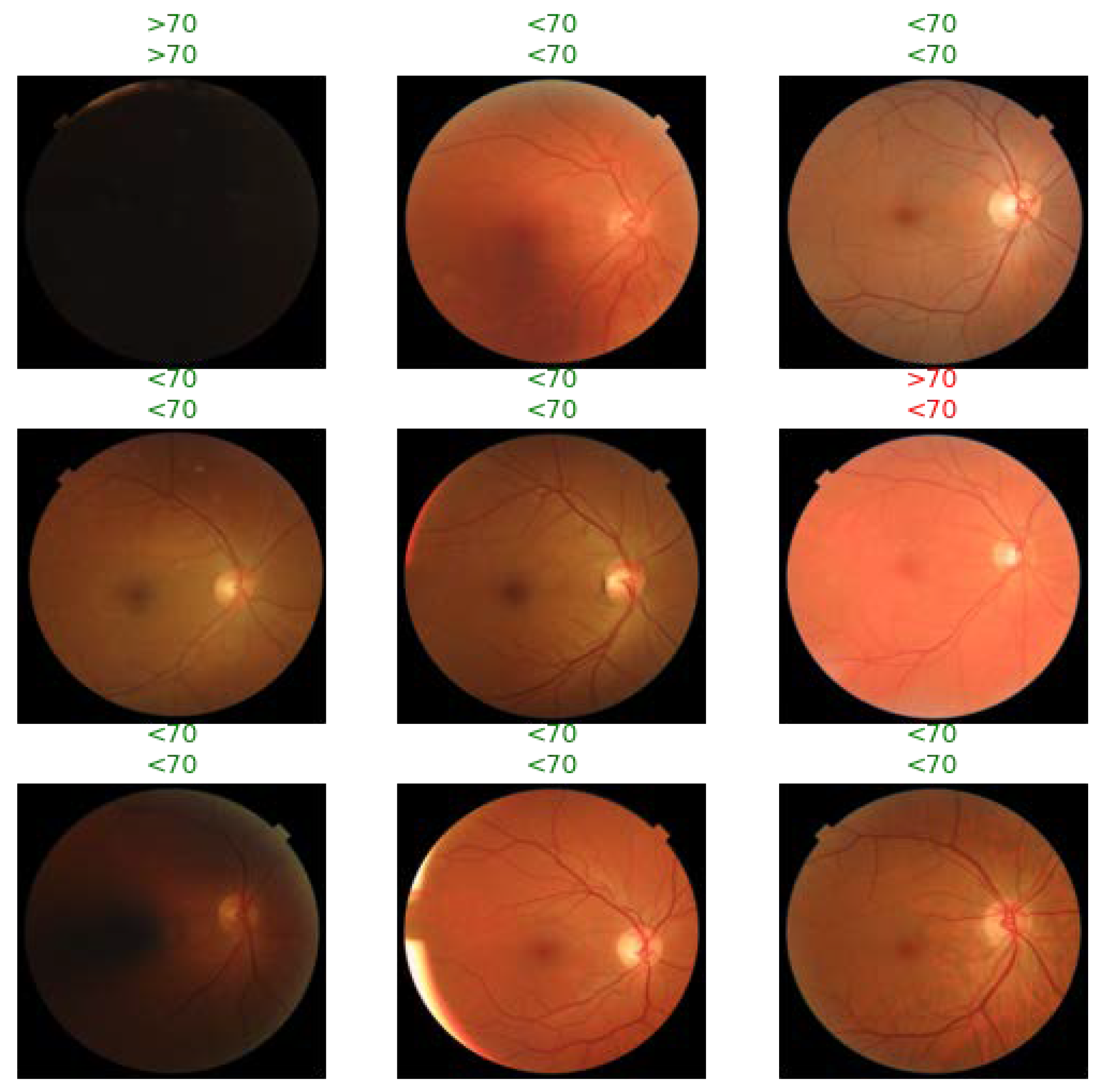 Diagnostics 12 01714 g001
