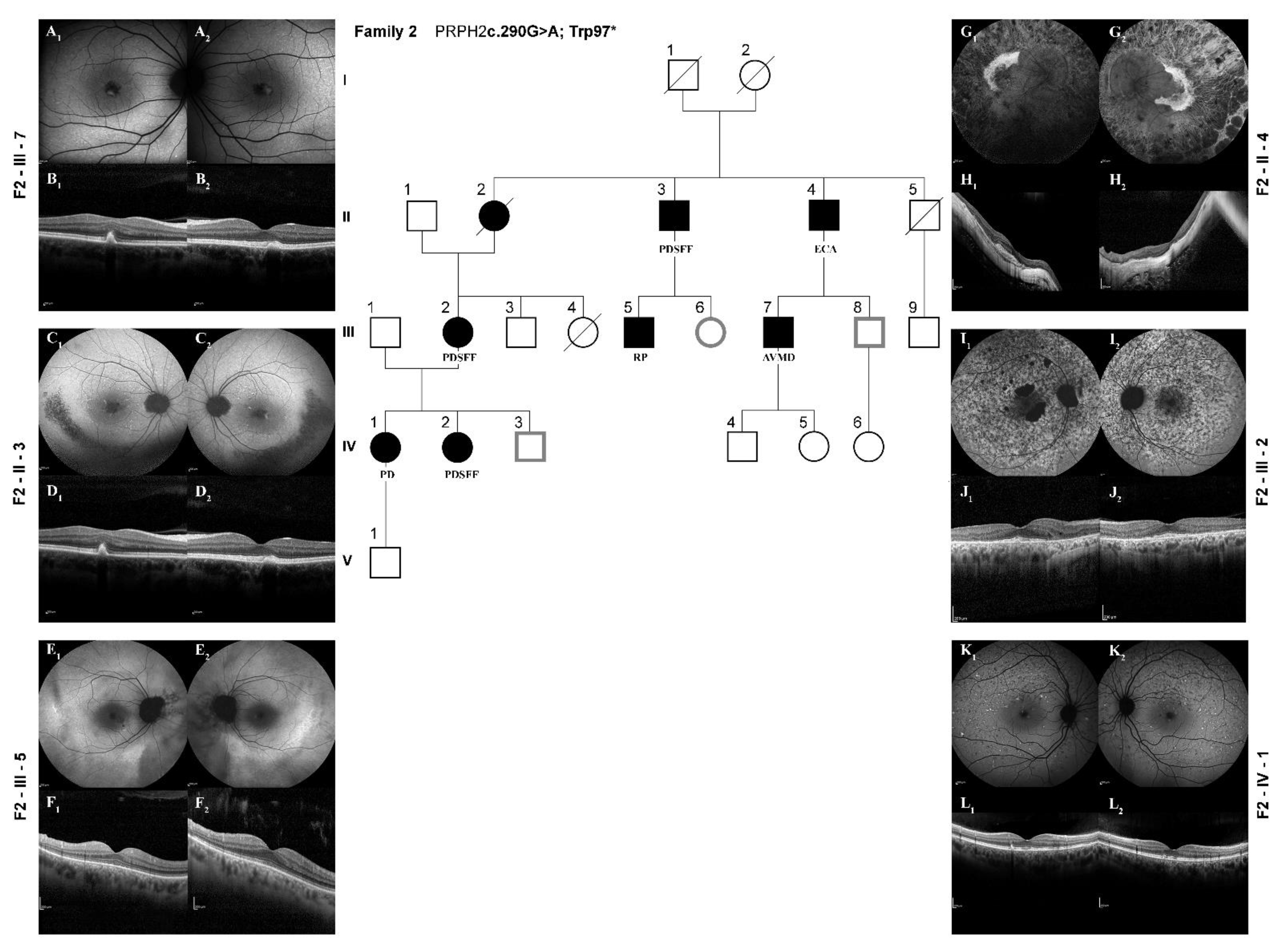 Diagnostics 12 01851 g003 Diagnostics 12 01851 g003