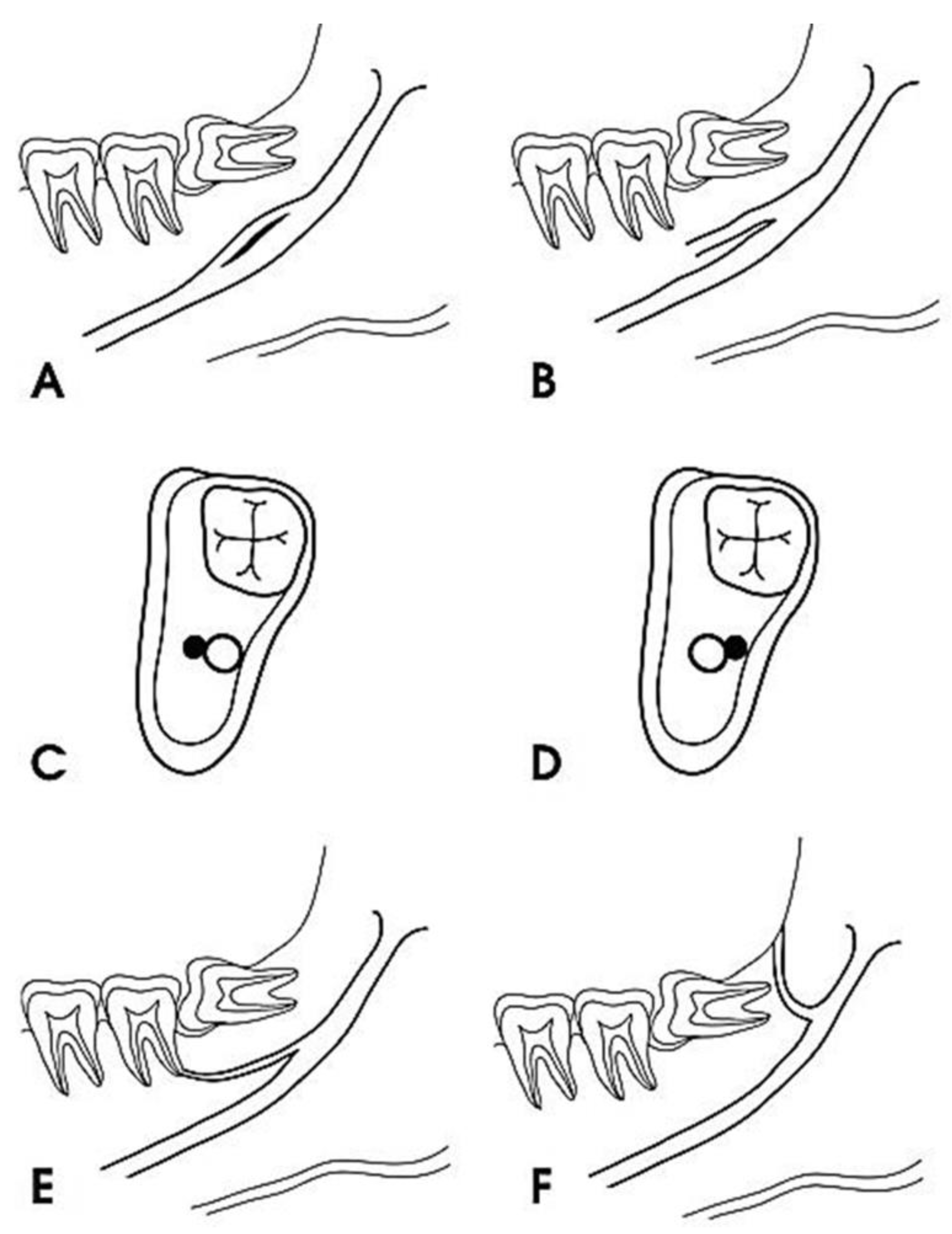 Diagnostics 12 01885 g002 Diagnostics 12 01885 g002