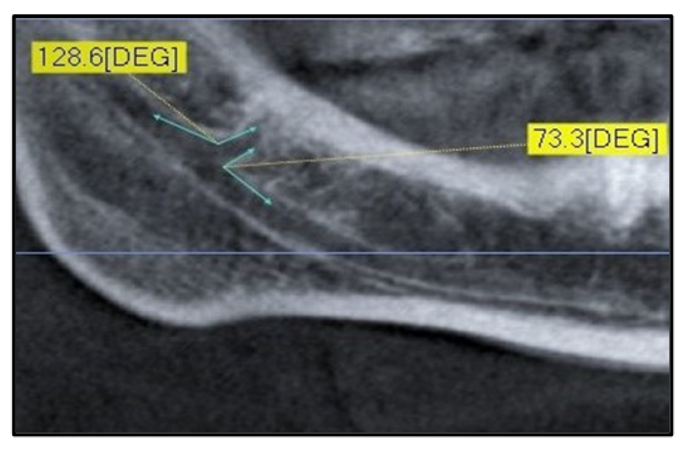 Diagnostics 12 01885 g004 Diagnostics 12 01885 g004