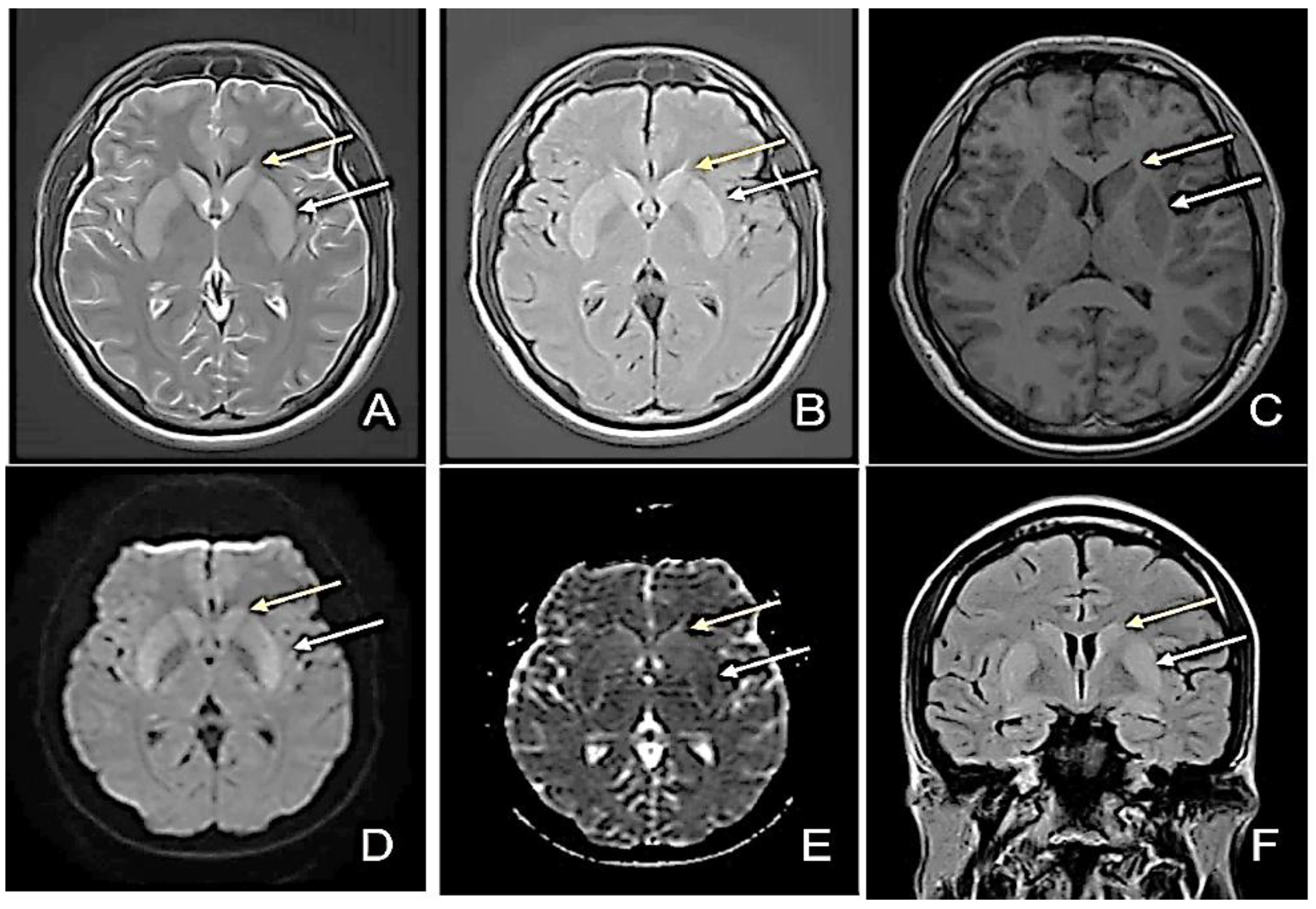 Diagnostics 12 01888 g001