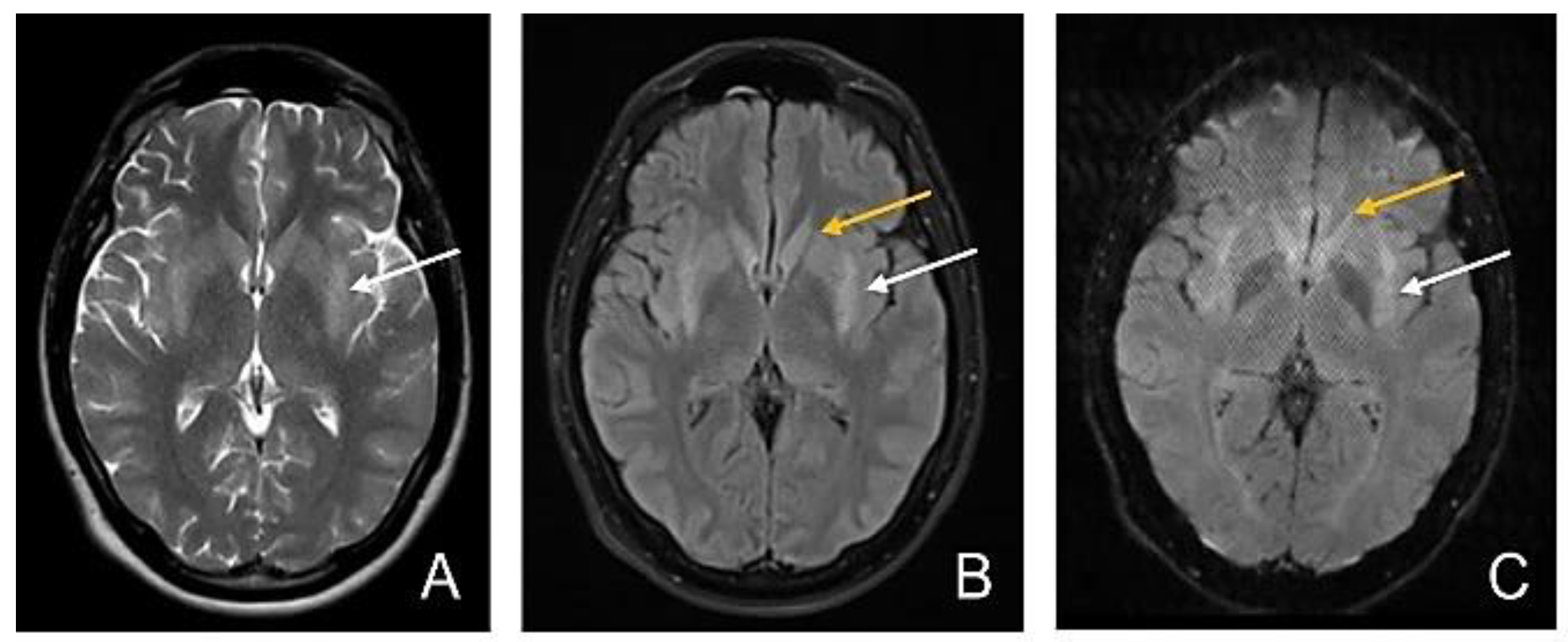 Diagnostics 12 01888 g003