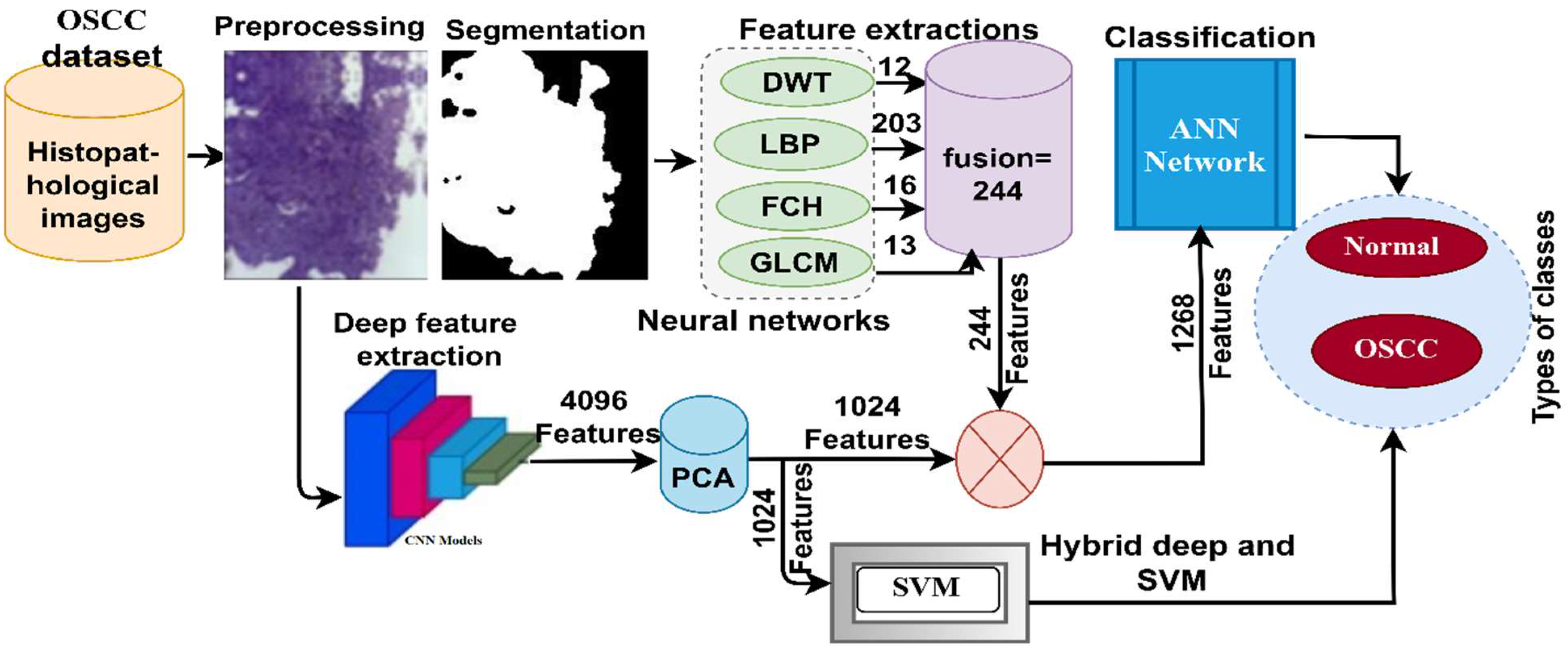 Diagnostics 12 01899 g001