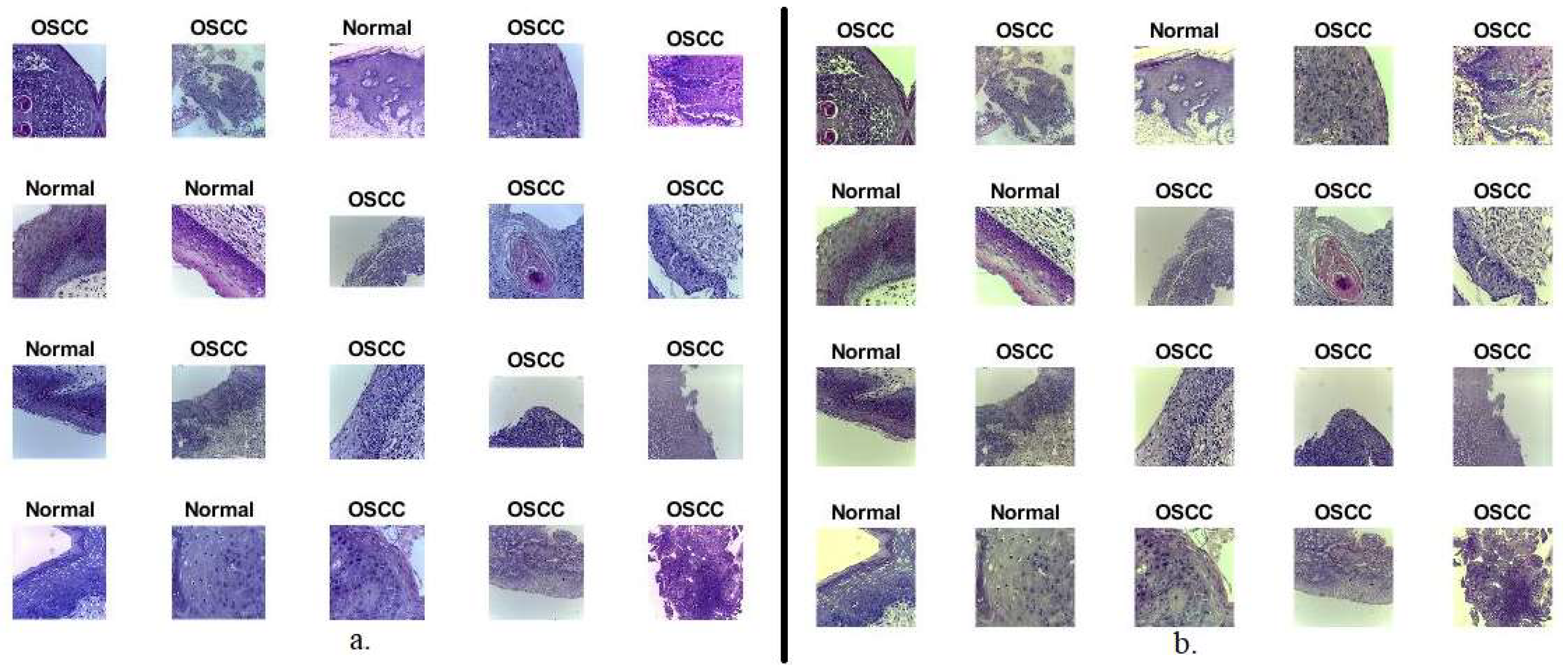 Diagnostics 12 01899 g002