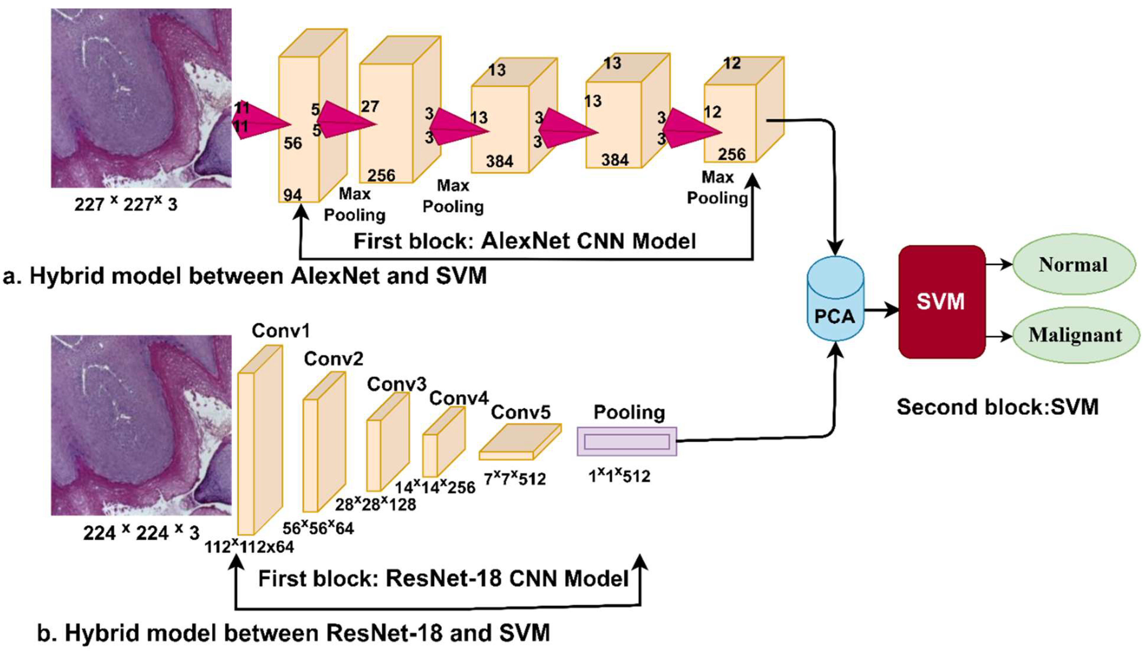 Diagnostics 12 01899 g003