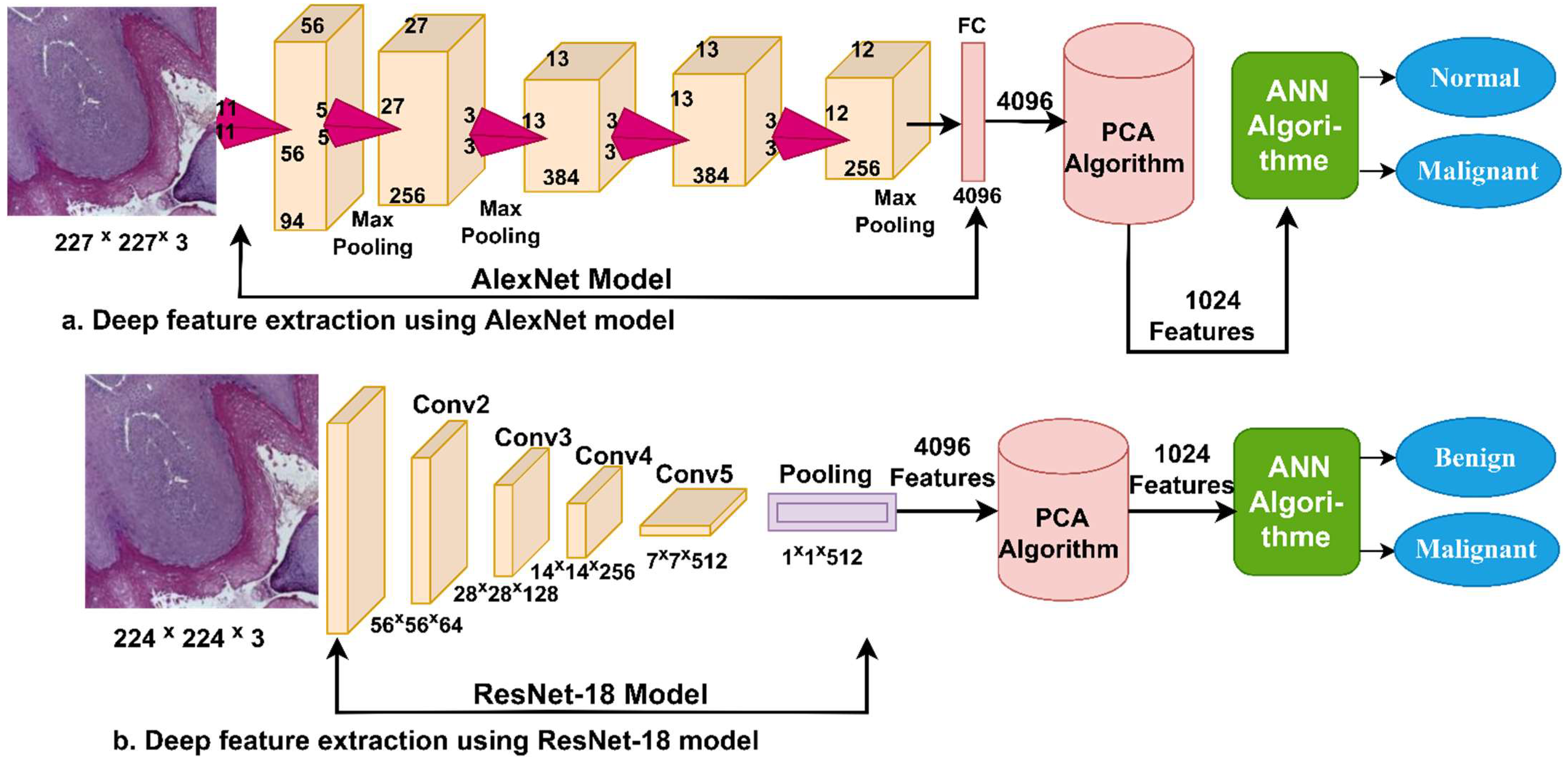 Diagnostics 12 01899 g005