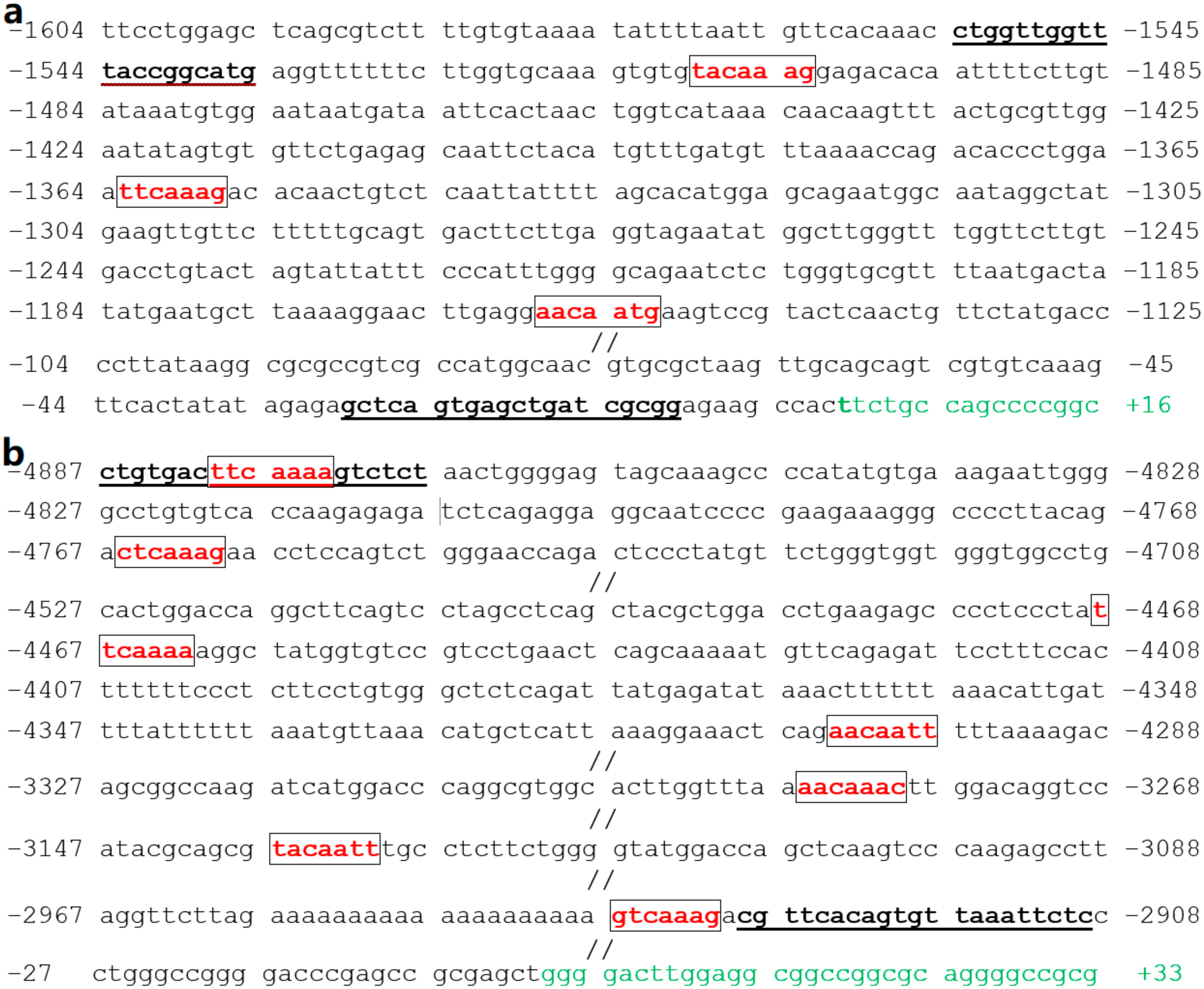 Diagnostics 12 01917 g006
