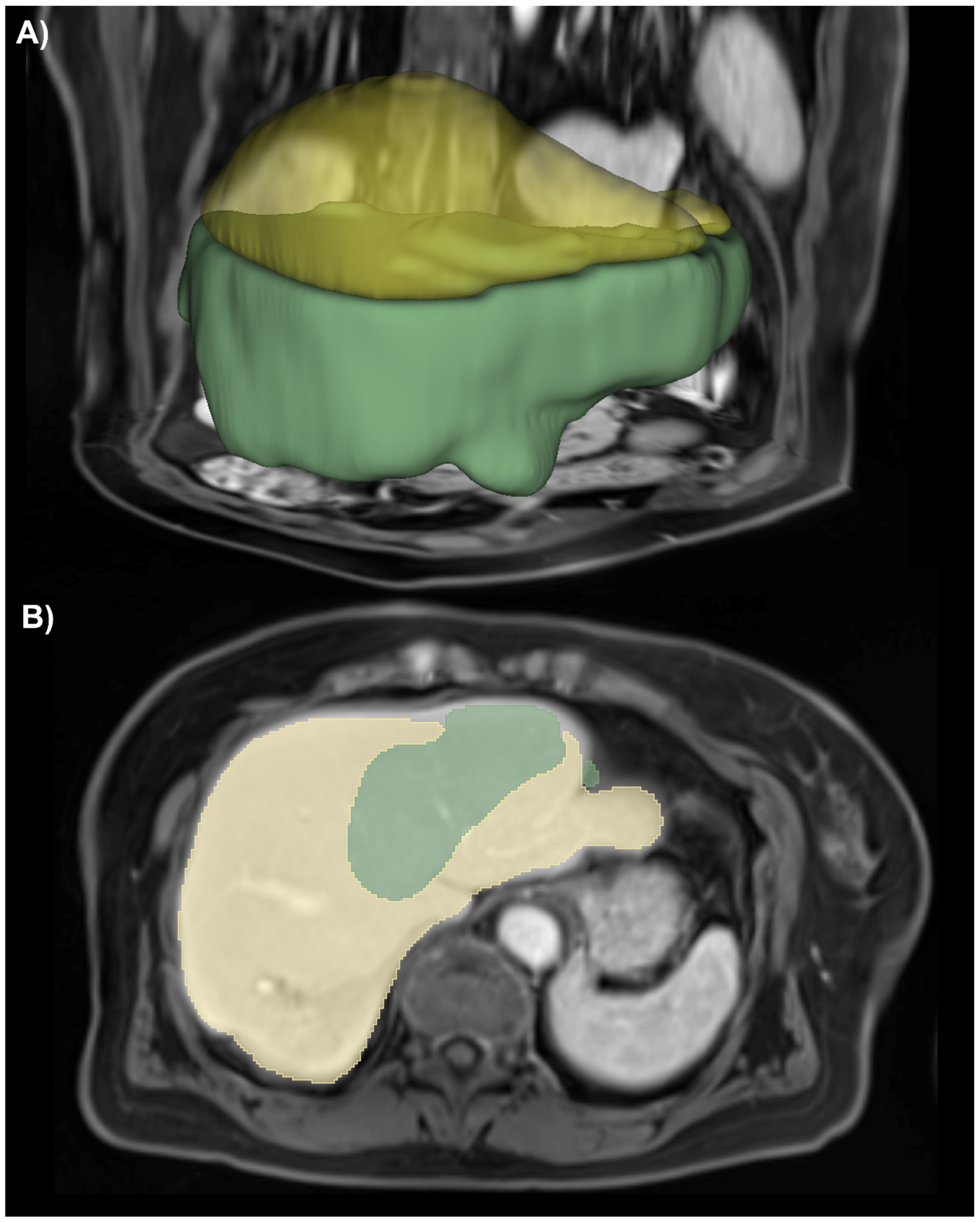 Diagnostics 12 01938 g004