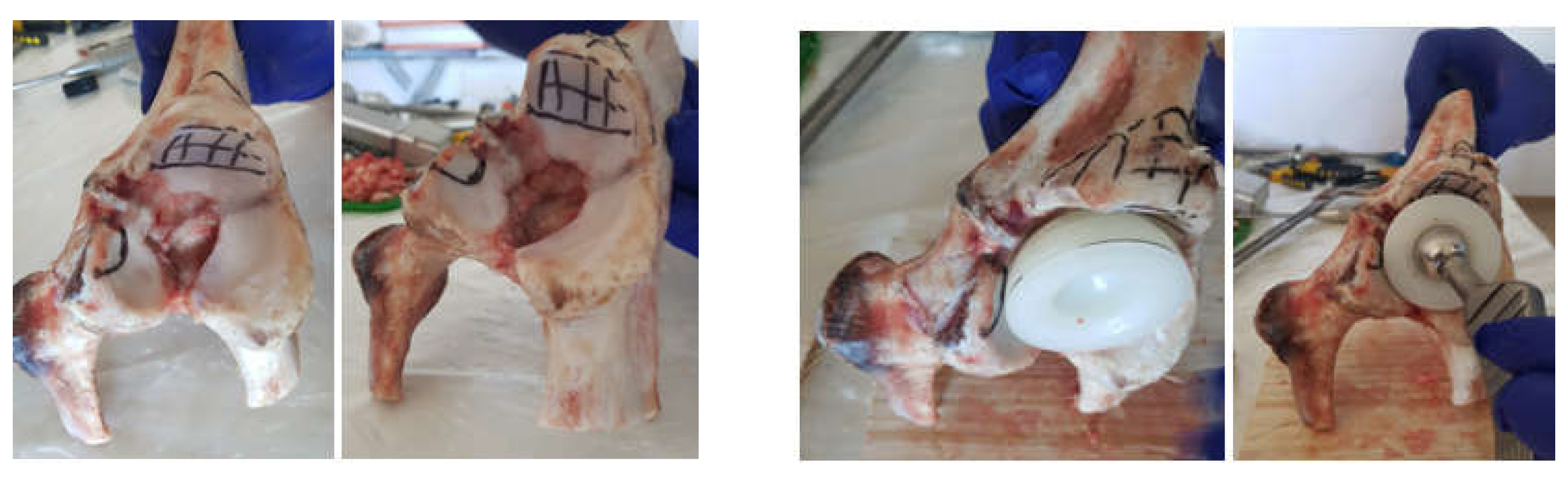 Diagnostics 12 01952 g008