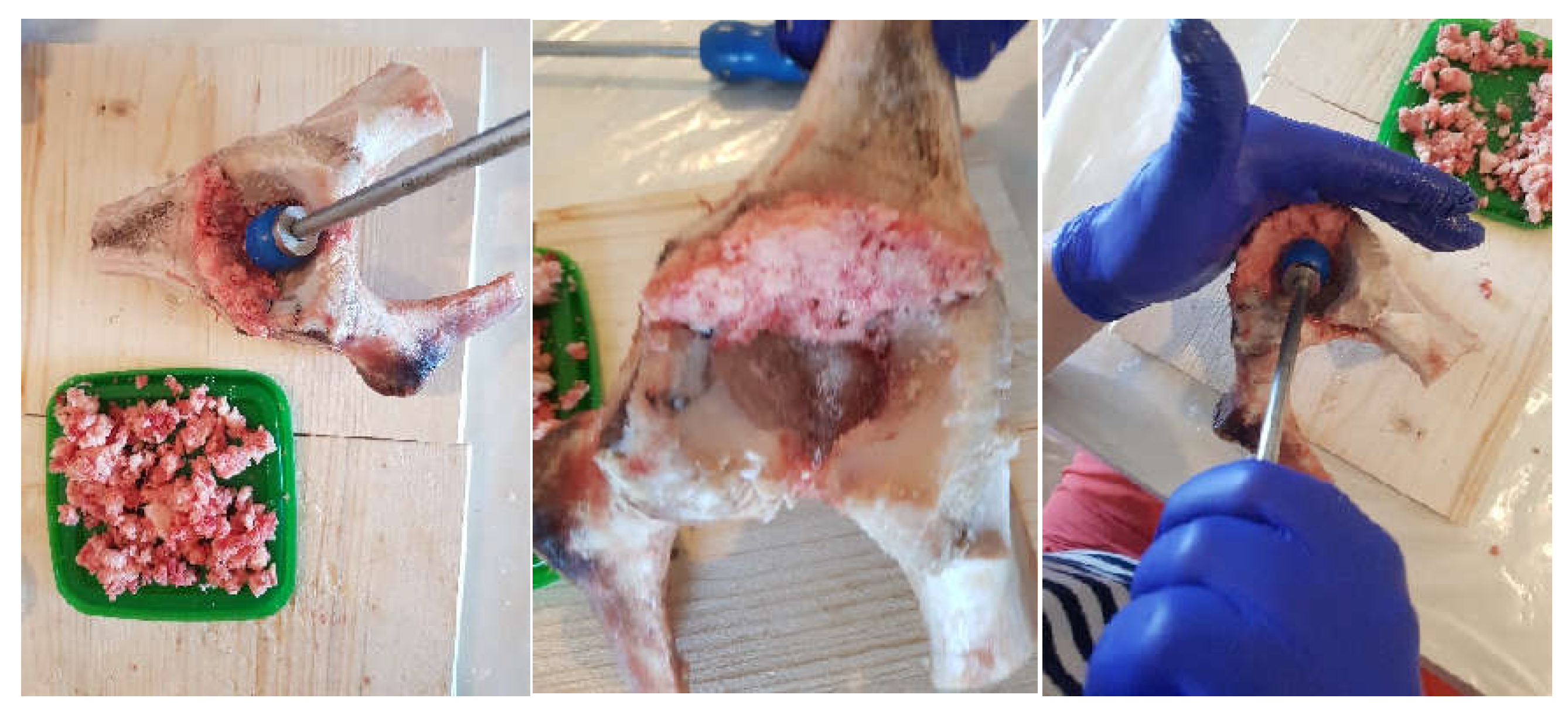 Diagnostics 12 01952 g010