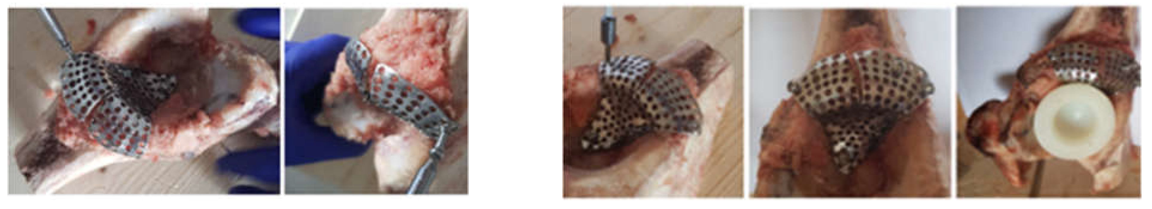 Diagnostics 12 01952 g012