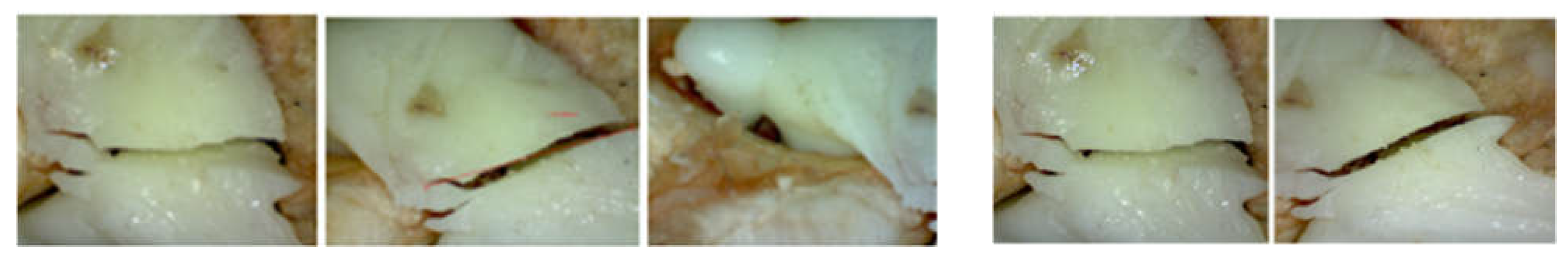 Diagnostics 12 01952 g020